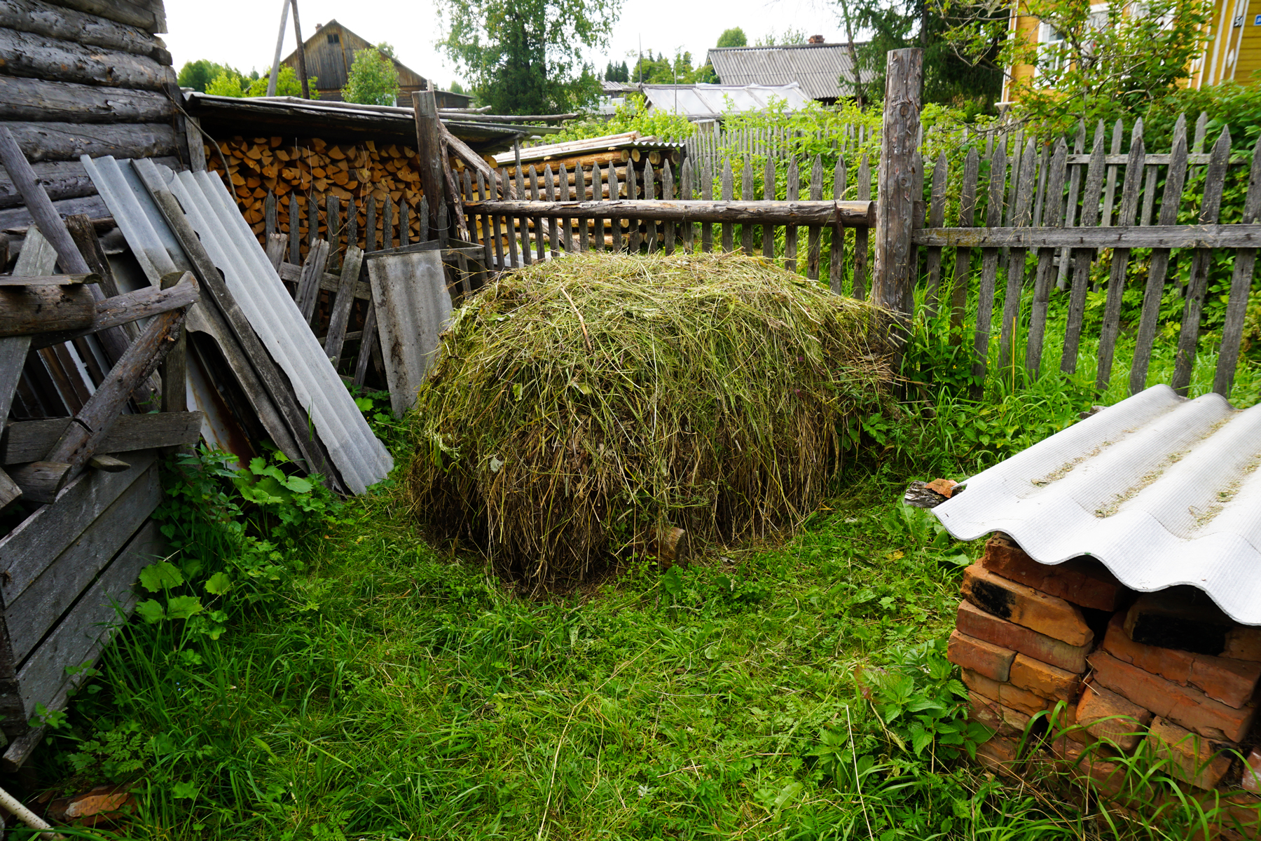 Gress samles i haug for bruk i neste års poetåker. Fra en datsja i Russland.
