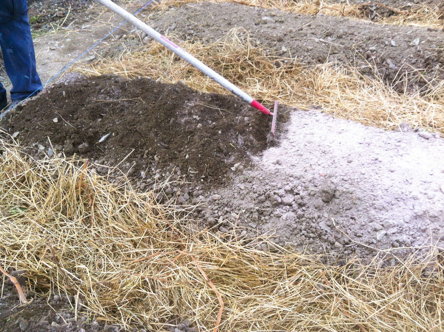 Treaske strøs på sengene. Asken muldes inn i overflaten før planting.