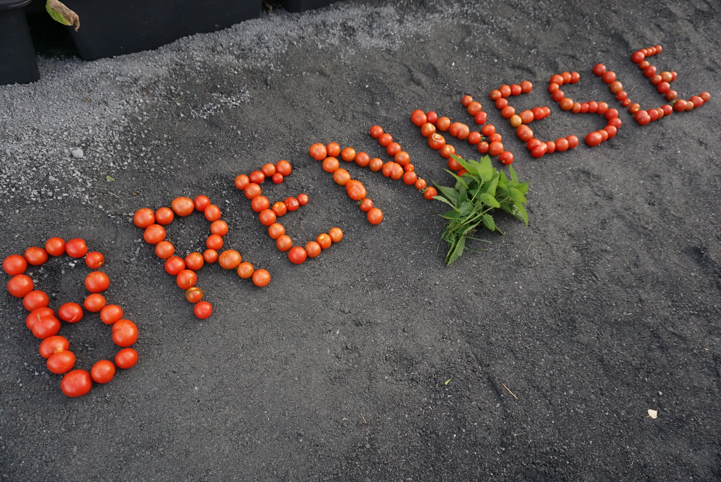 Brenneslevann var jokeren