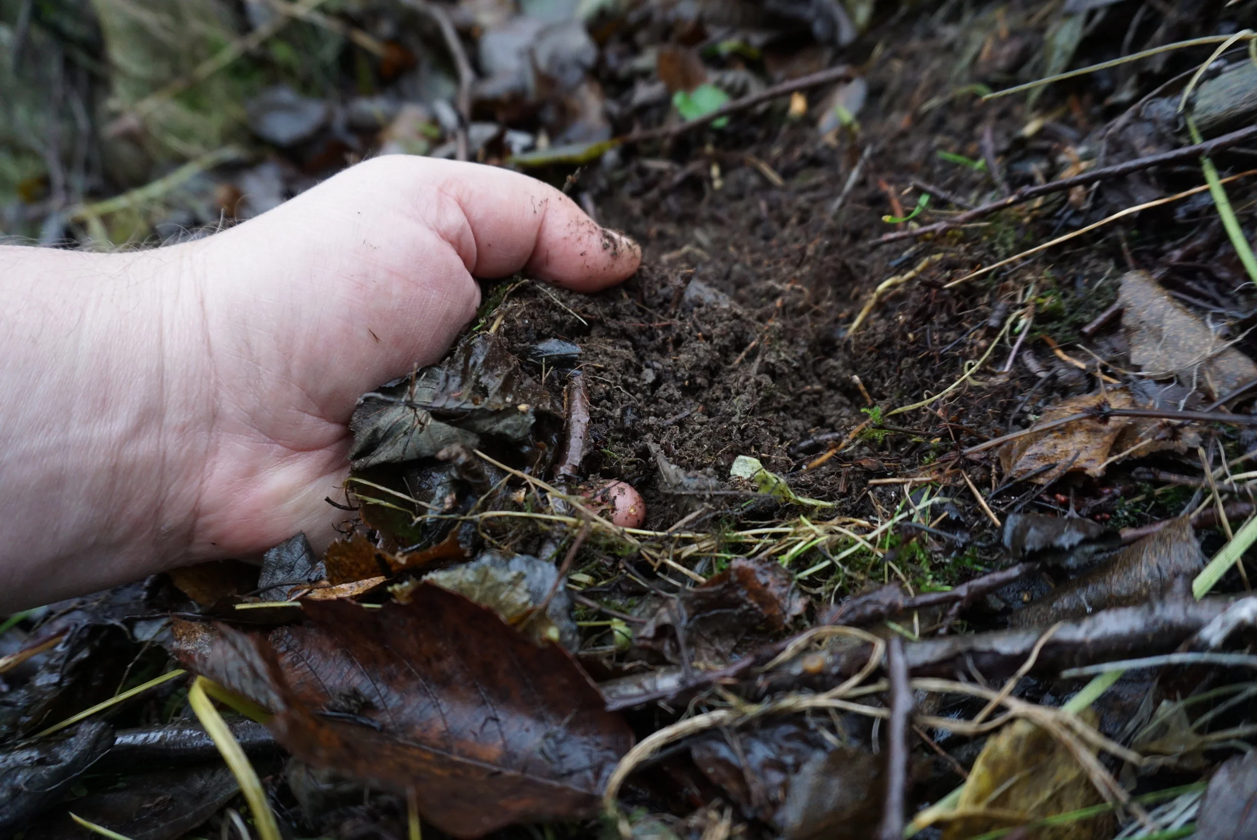 Tid for å samle vårens så-jord