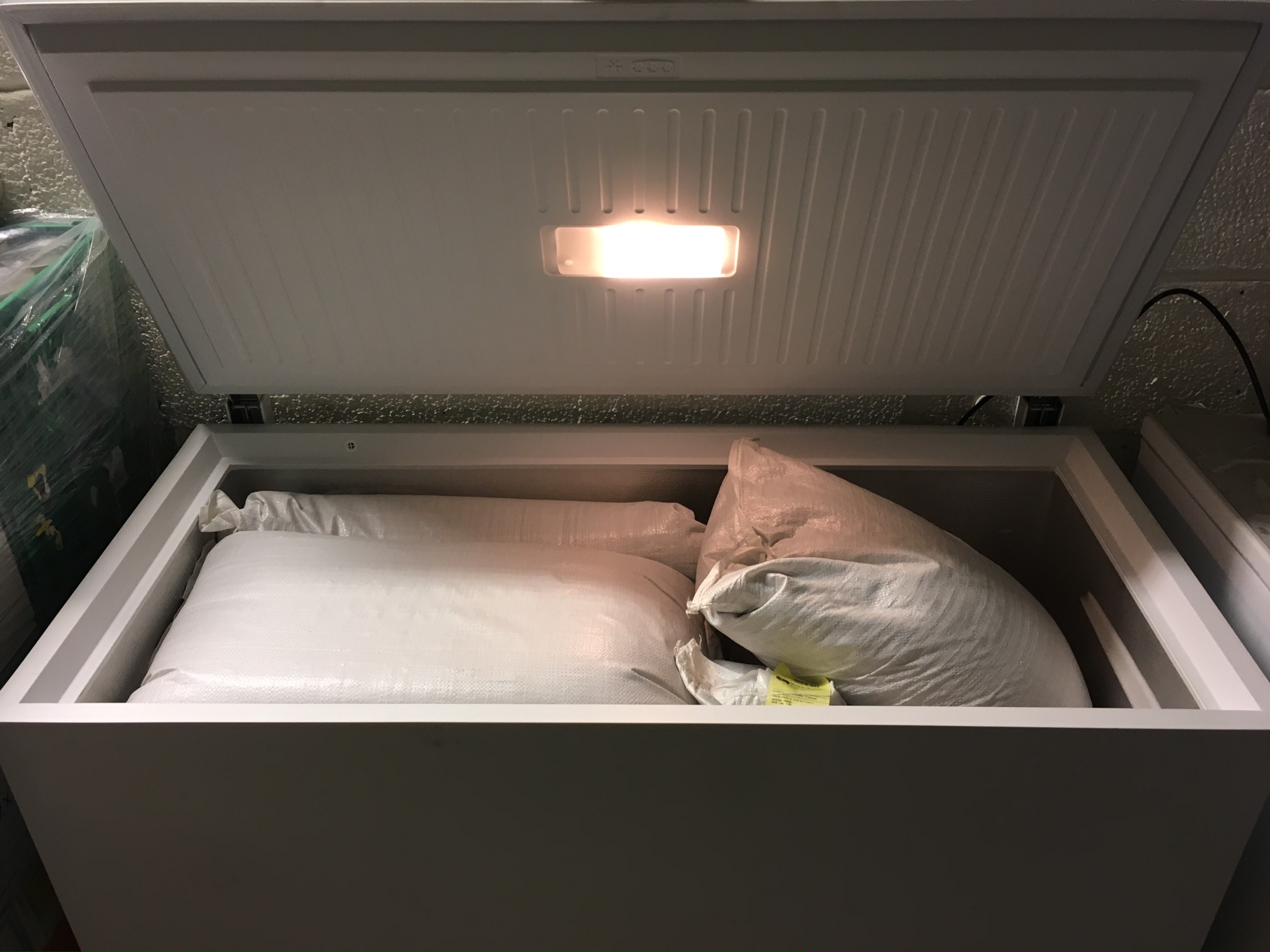 Det store frøfirmaet Norgro på Hamar lagrer frø av norske kålrotsorter i frysebokser gjennom mange år. Når frø tas ut, blir de spiretestet før de går til kunden. Foto: Sven Taksdal. Norgro