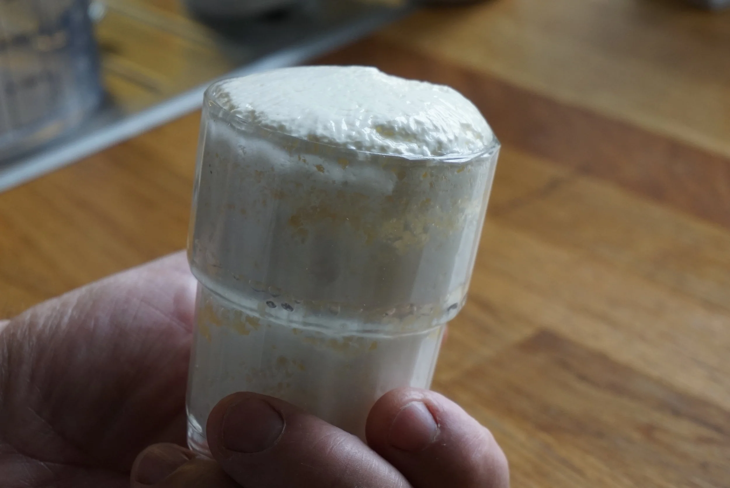 Smitte fra tettegress gir en merkelig reaksjon på melken. Melken koagulerer (løyper) så mysen og ostestoffet skiller lag. Ved å helle innholdet i glasset over i en sil og la renne av seg, ble det en fast ostemasse tilbake etter et døgn.
