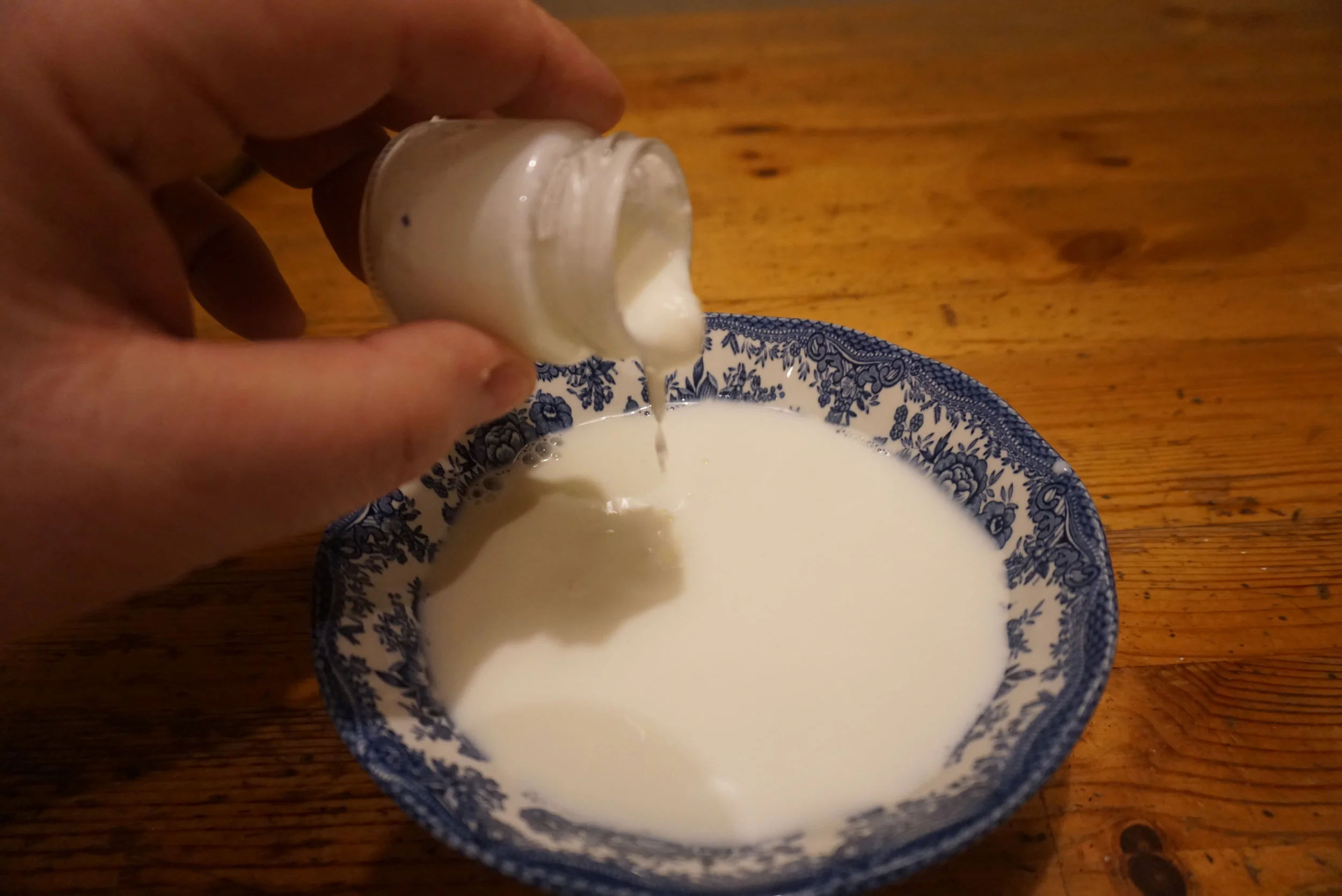 Etter 7 måneder på et lite glass i kjøleskapet, ble "smitten" helt over i en tallerken med kroppsvarm nykokt melk. 