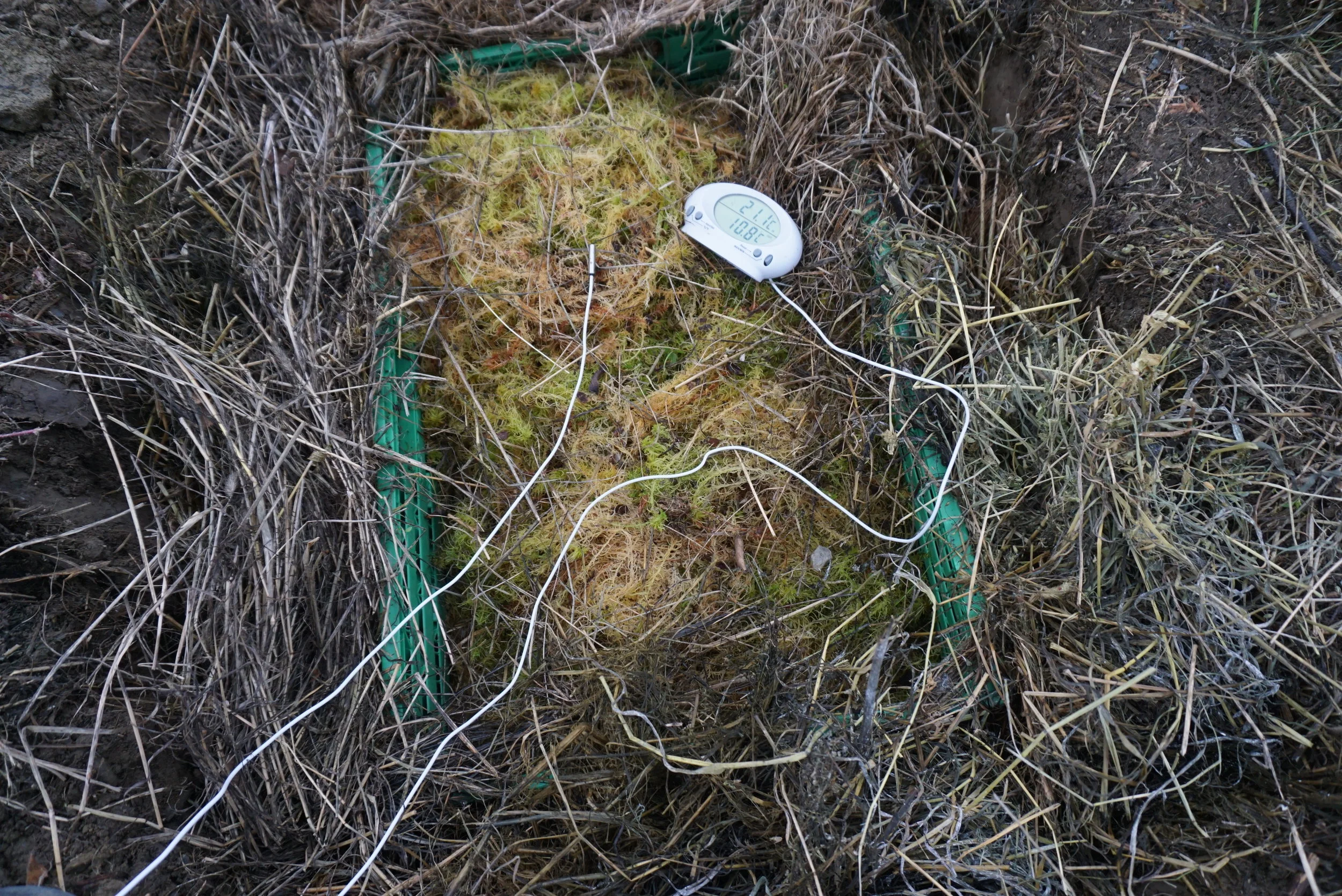 Godt med tørt gress rundt