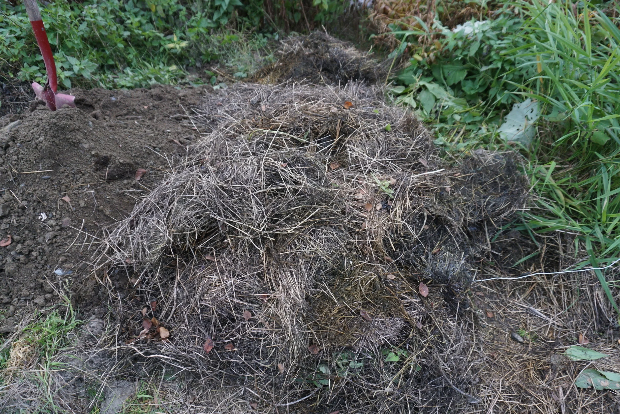 Et godt lag tørt gress.