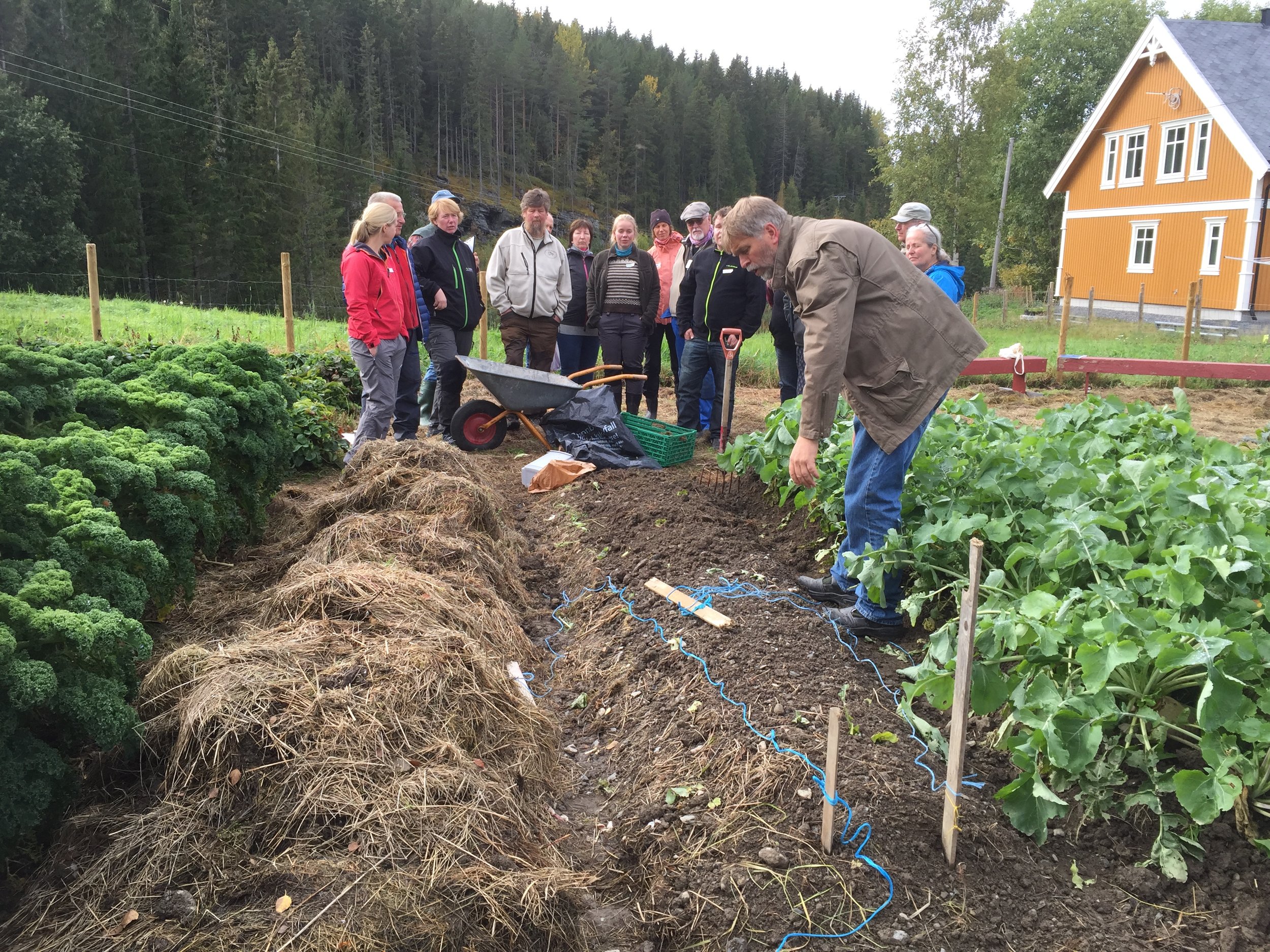 Kursene vi holder, tar utgangspunkt i hva som lar seg dyrke med utgangspunkt i en plen, en spade og frø. Resten blir improvisering med utgangspunkt i de ressursene du klarer å samle i trillebåravstand til hagen.