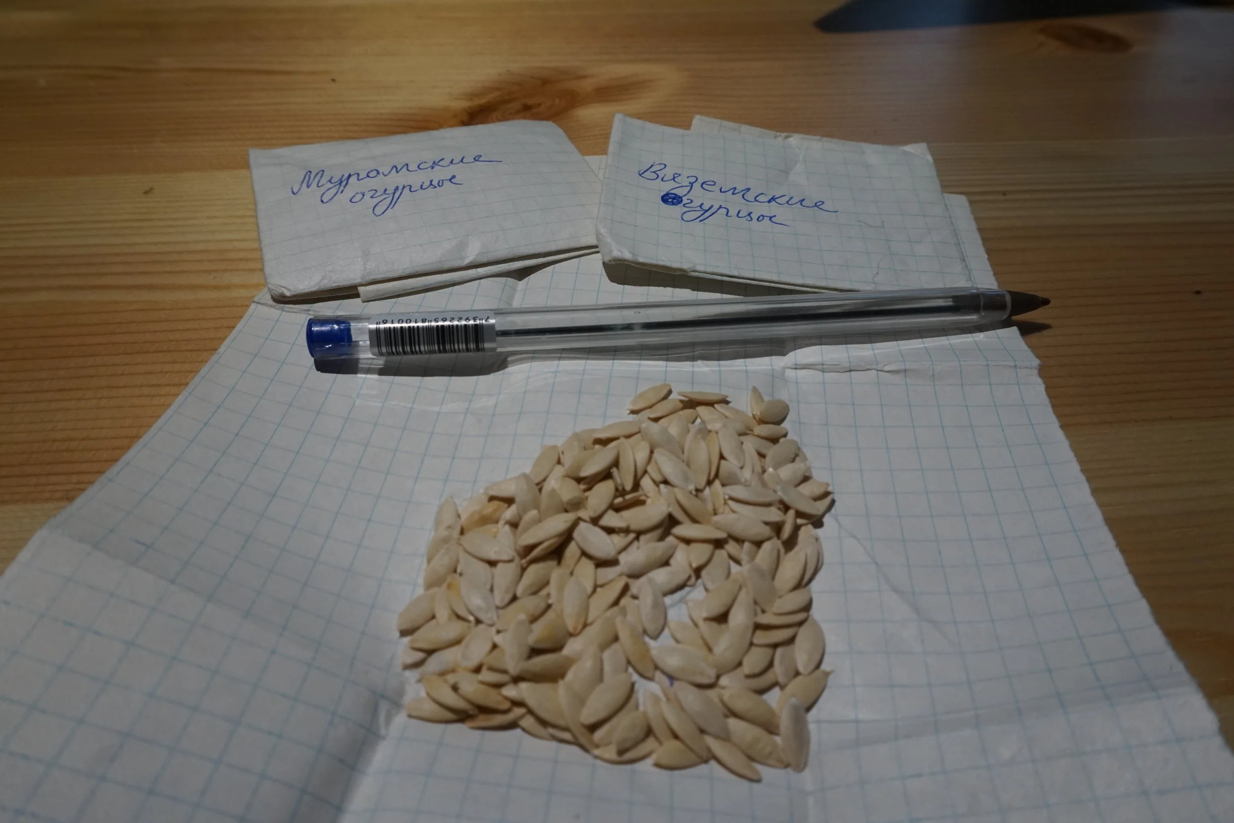 Frø for fred - Nobel gave til Norge i dag