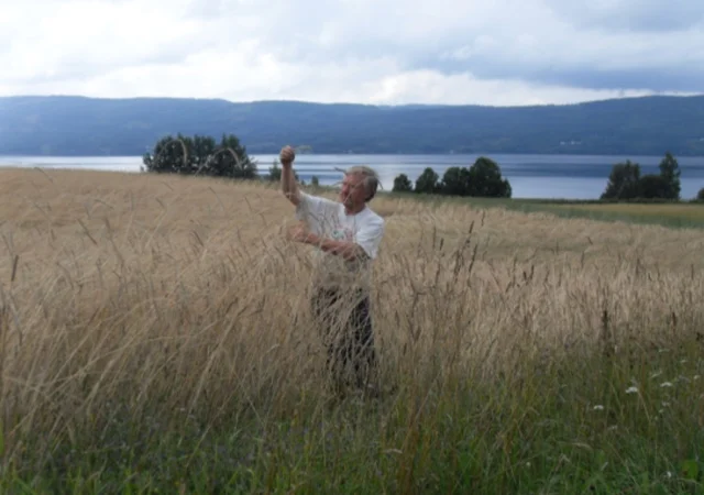 Kornet, hagen, arven og livet