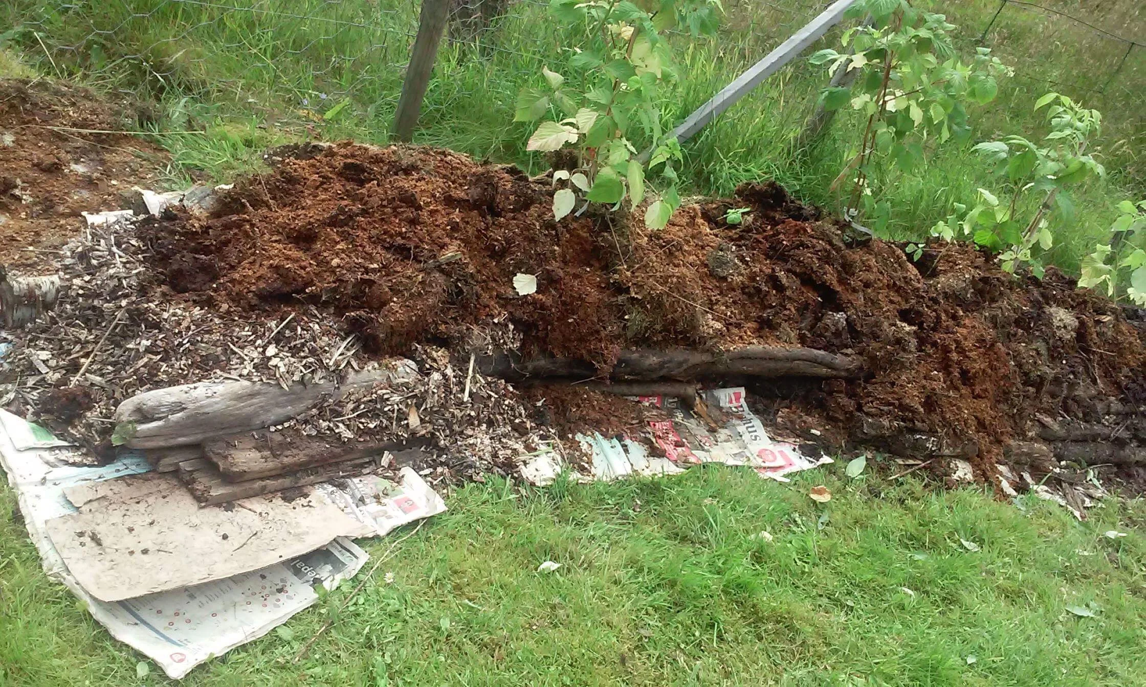 Hugelkultur - dyrkingsteknikken som forlenger sesongen