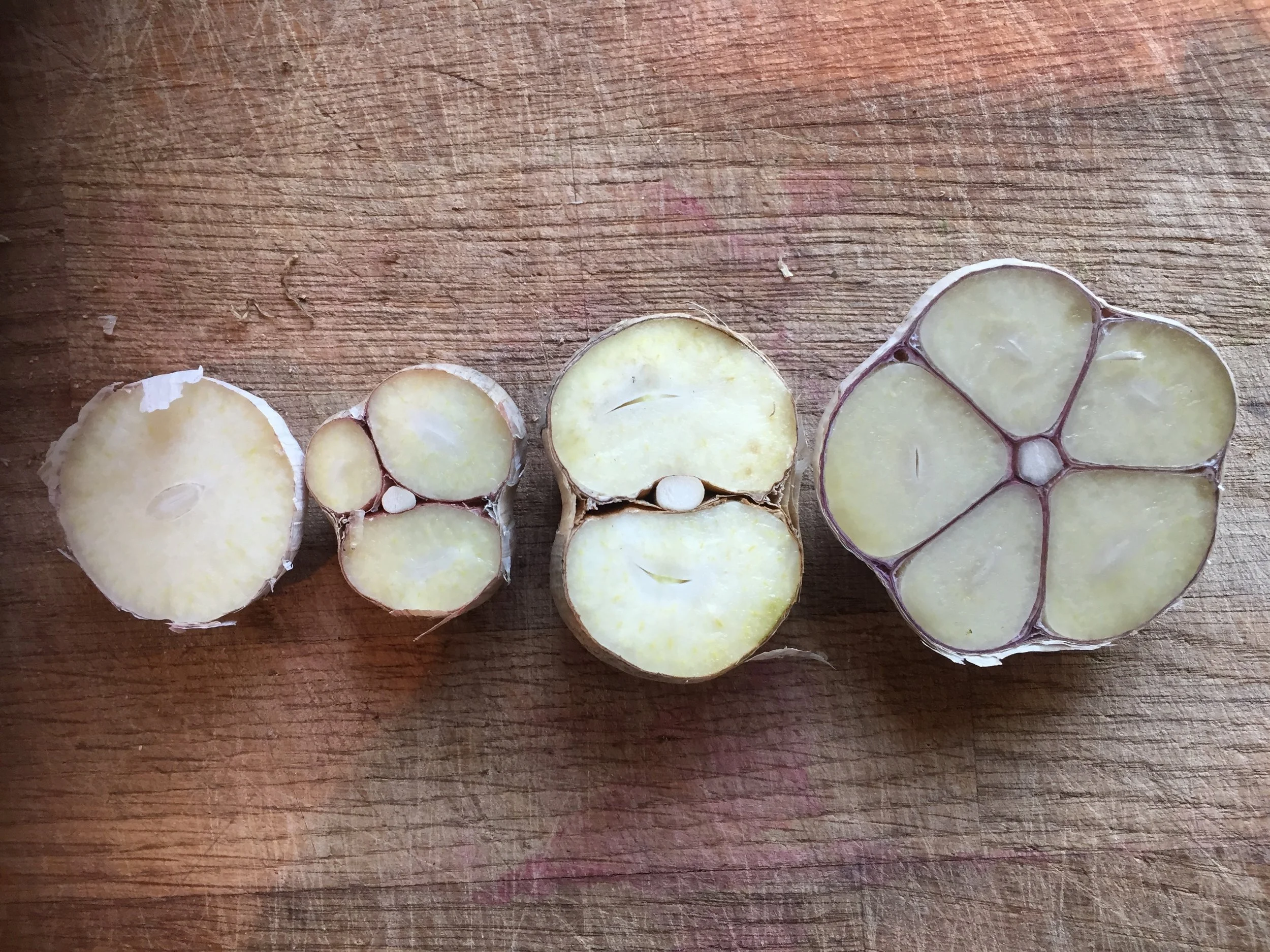 Gåtene bak antallet på hvitløksbåtene