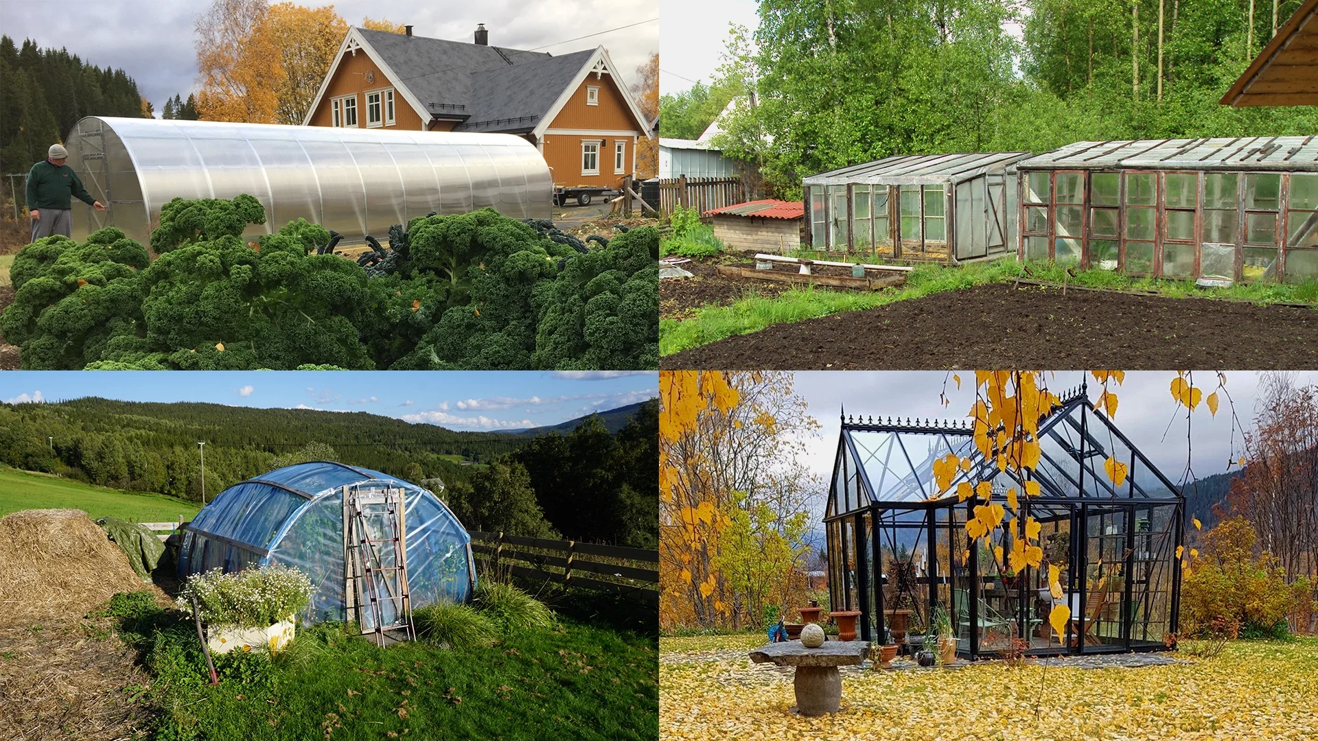 Den gode drivhuseffekten - for alle lommebøker til alle tider