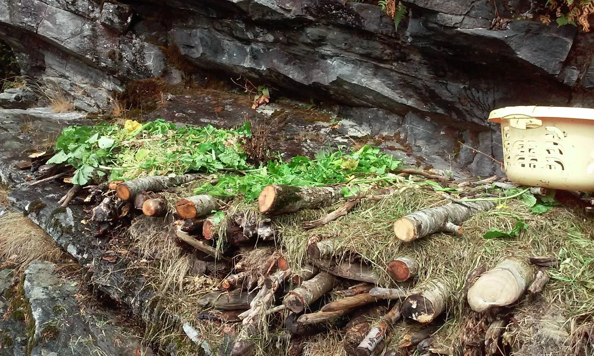 Hügelbed gjør det mulig for meg å utnytte de mest utenkelige stedene til dyrking - slik som på denne fjellhyllen.
