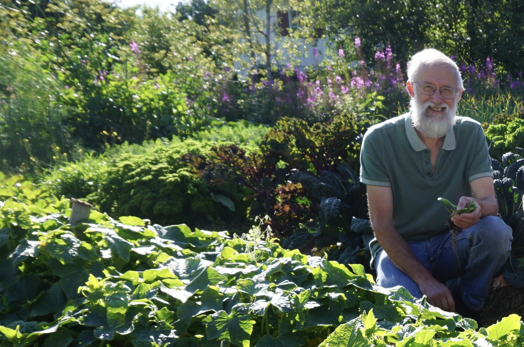 Stephen Barstow er leder for KVANN (Norwegian seed savers) og en nestor innenfor bruk, dyrking, registrering og innsamling av nyttevekster i Norge. Han er den som sammen med Geir Flatebø kanskje har fulgt Sarpo Mira lengst her i Norge. Foto Anders Nordrum