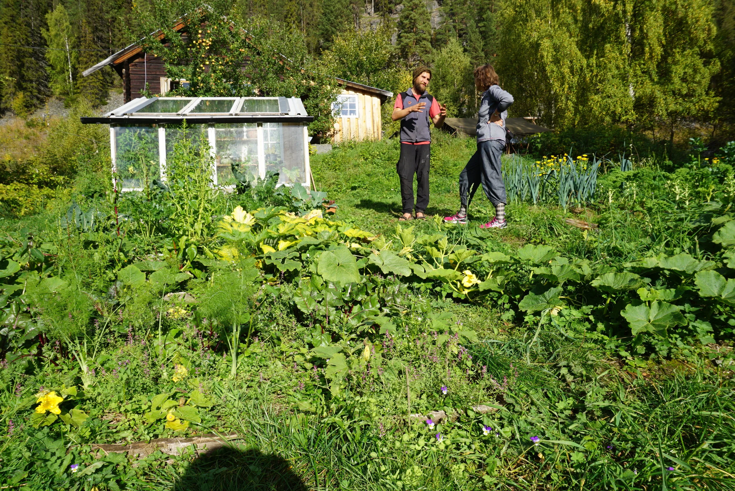 Datsjas kurs om beredskapshager vinter og vår 2020