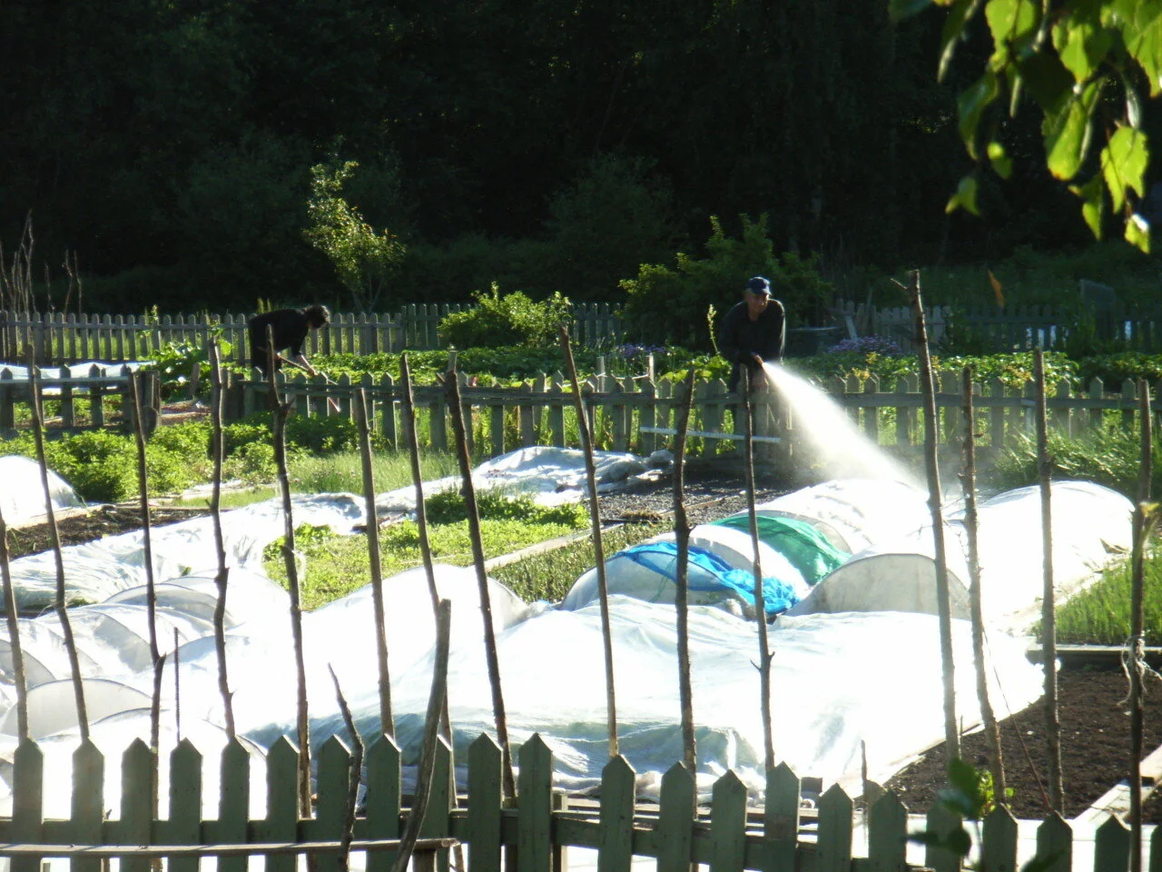 “Geriljahagen”: Tiårets kanskje viktigste bok