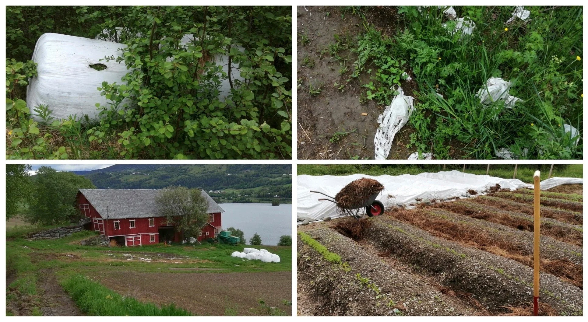 Rundballer til besvær for miljøet men en mulig ressurs for kjøkkenhagen