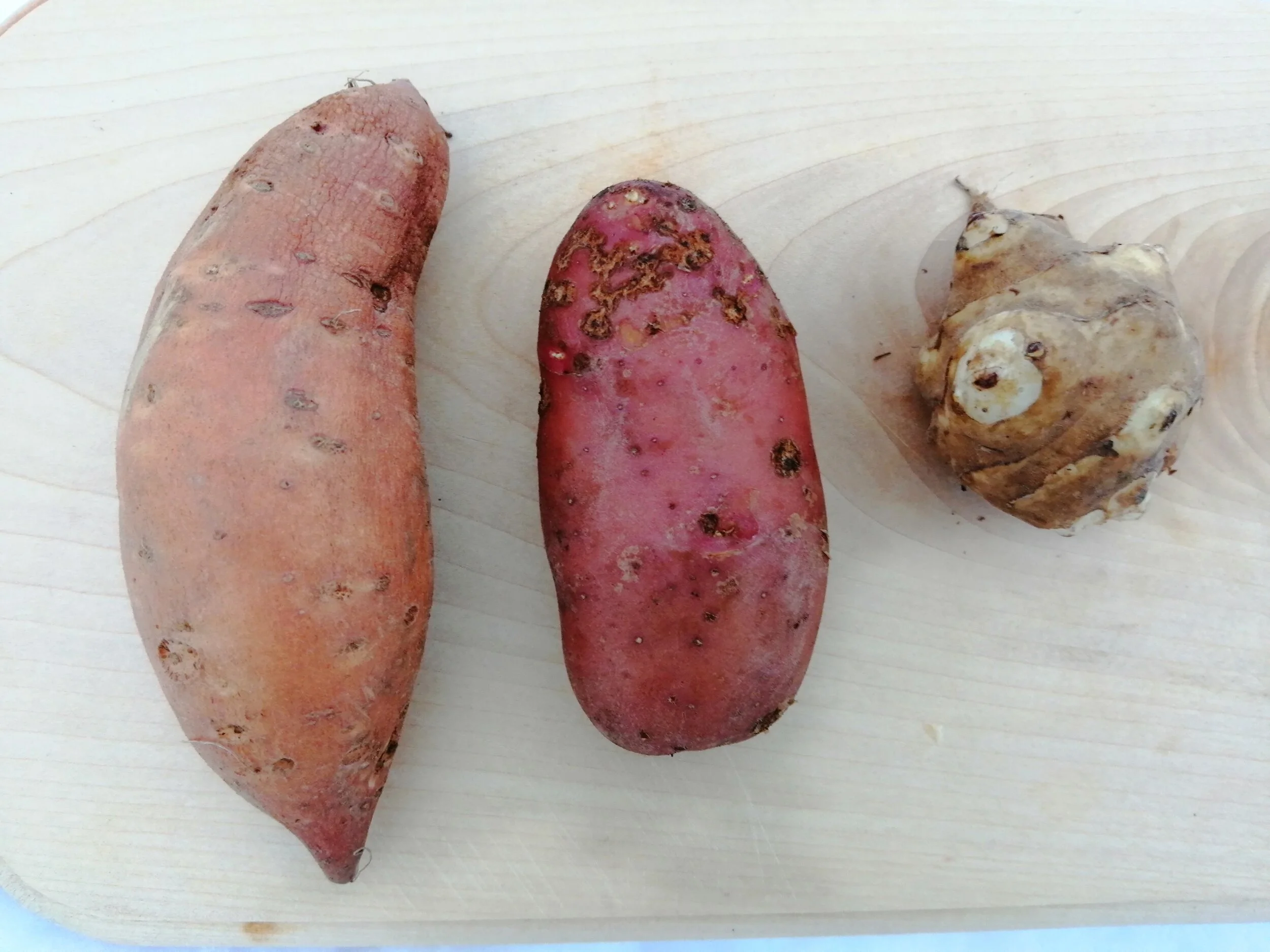 Søtpotet, potet og jordskokk