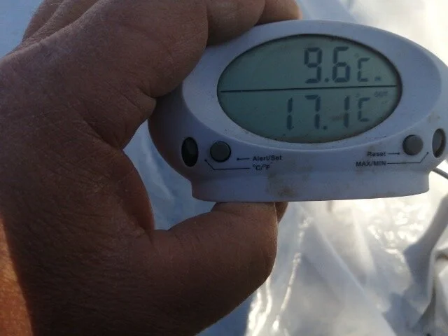 På bildet vises temperaturen utenfor tunellen (9,6C) og temperaturen i jorda under plasten (17,8C). Utendørs varierte det dette døgnet mellom 3,5 og 16,1C og det var vindkast på 5 til 6 m/s. Jordtemperaturen var allikevel forholdsvis stabil gjennom …