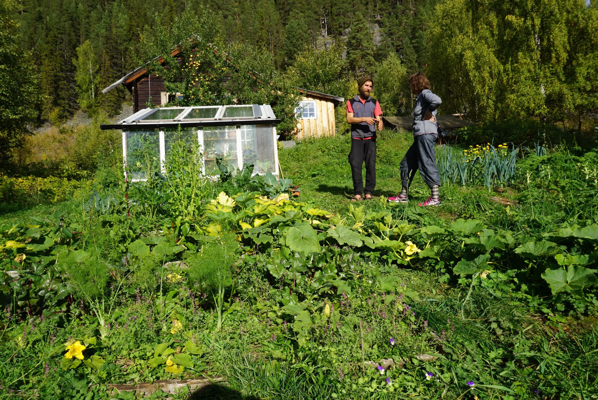 Vinterkurs i beredskapshagen - "Fra små frø til stor avling".