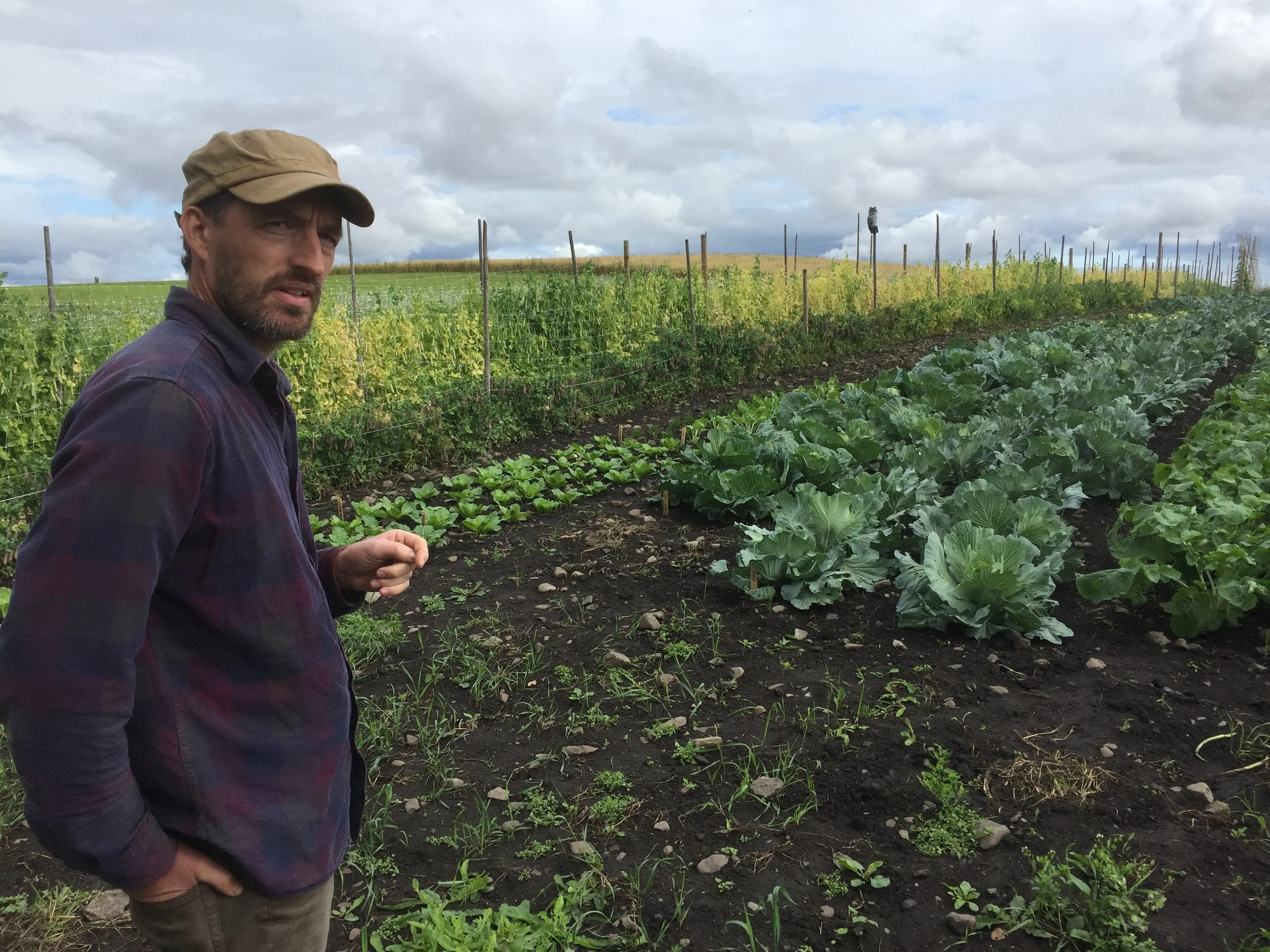 Solhatt - et annerledes frøfirma