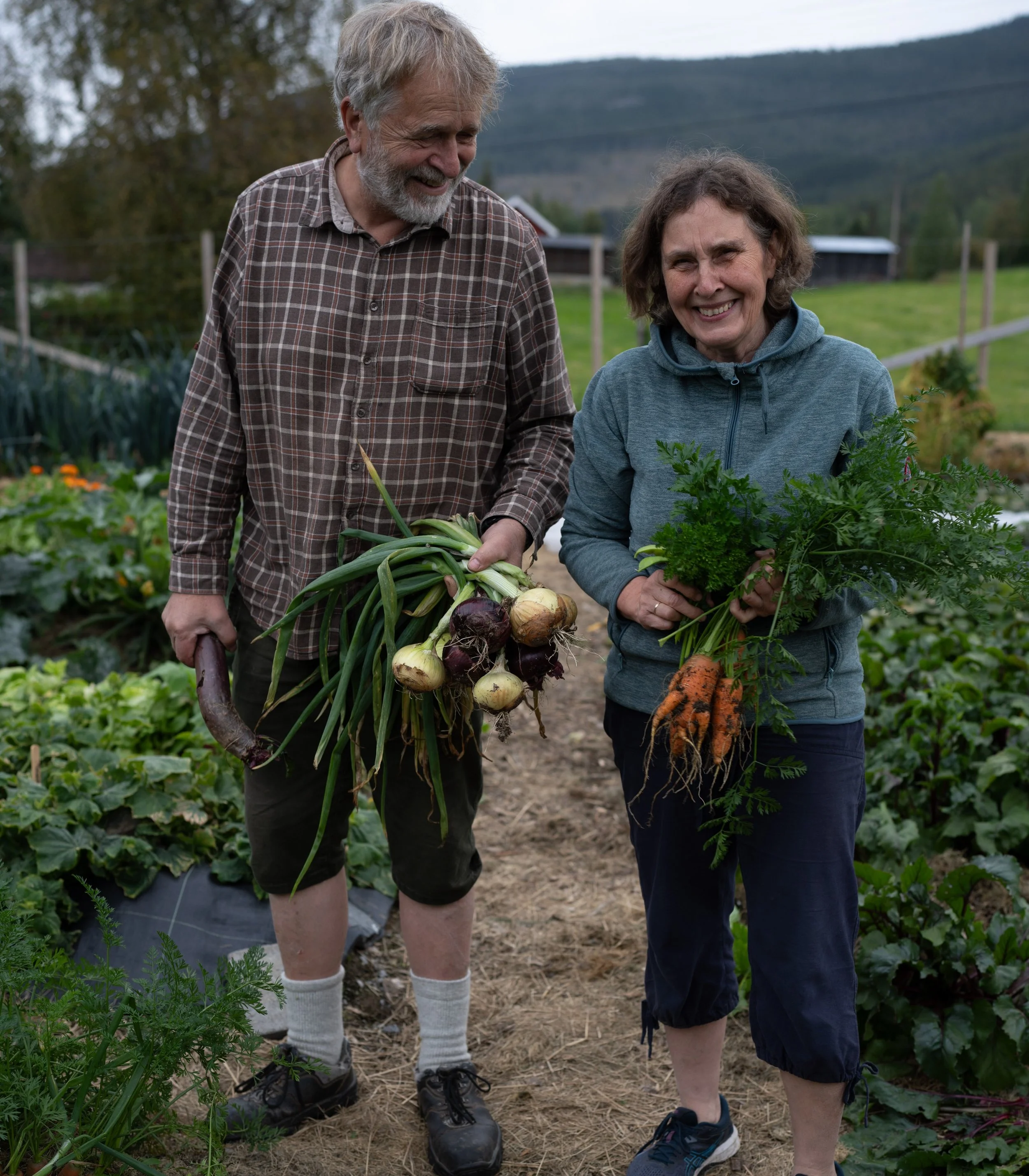 Dagskurs om beredskapshager 31 januar 2026