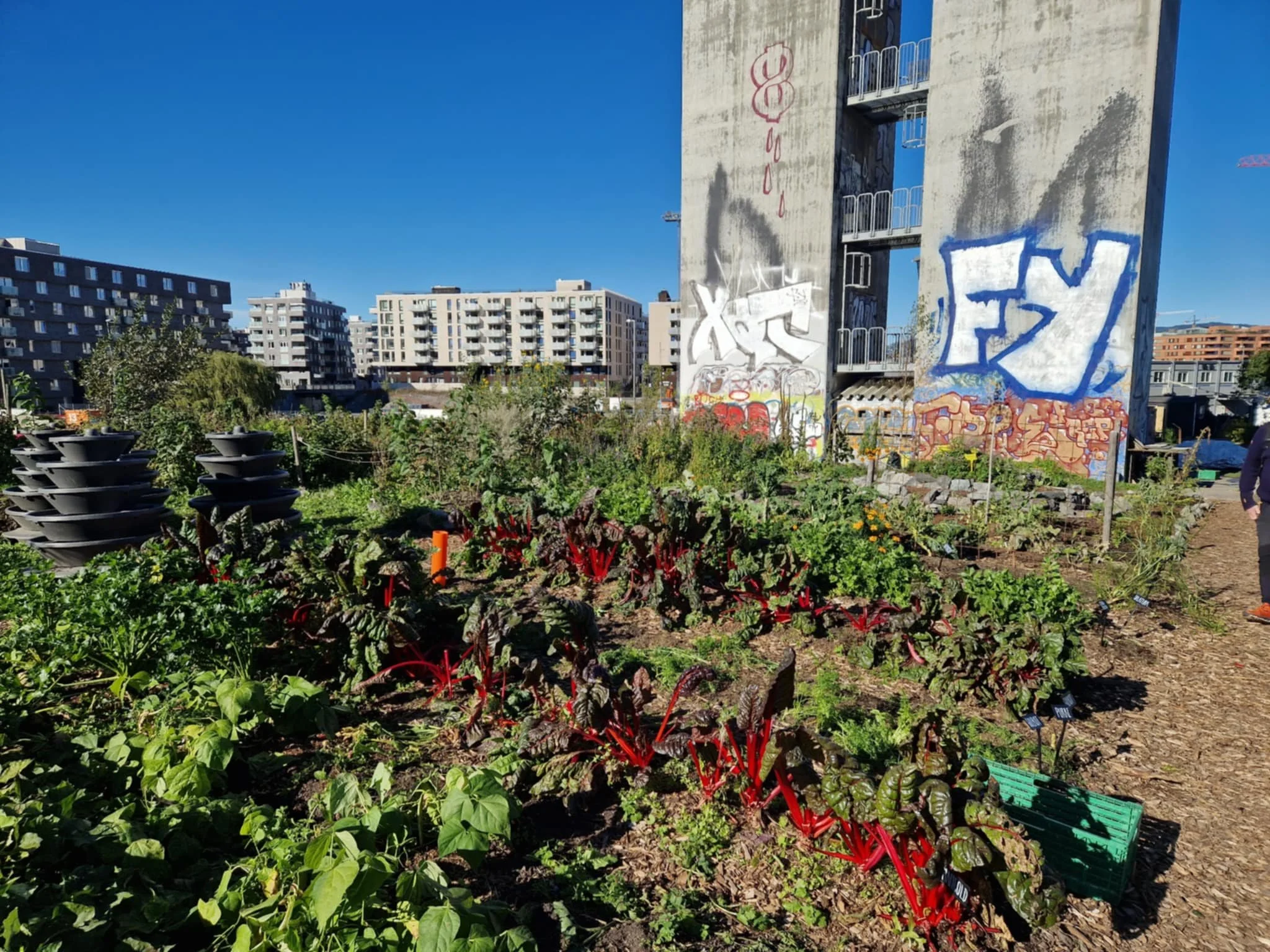 Dagskurs i Beredskapshagen 9 mai 2026