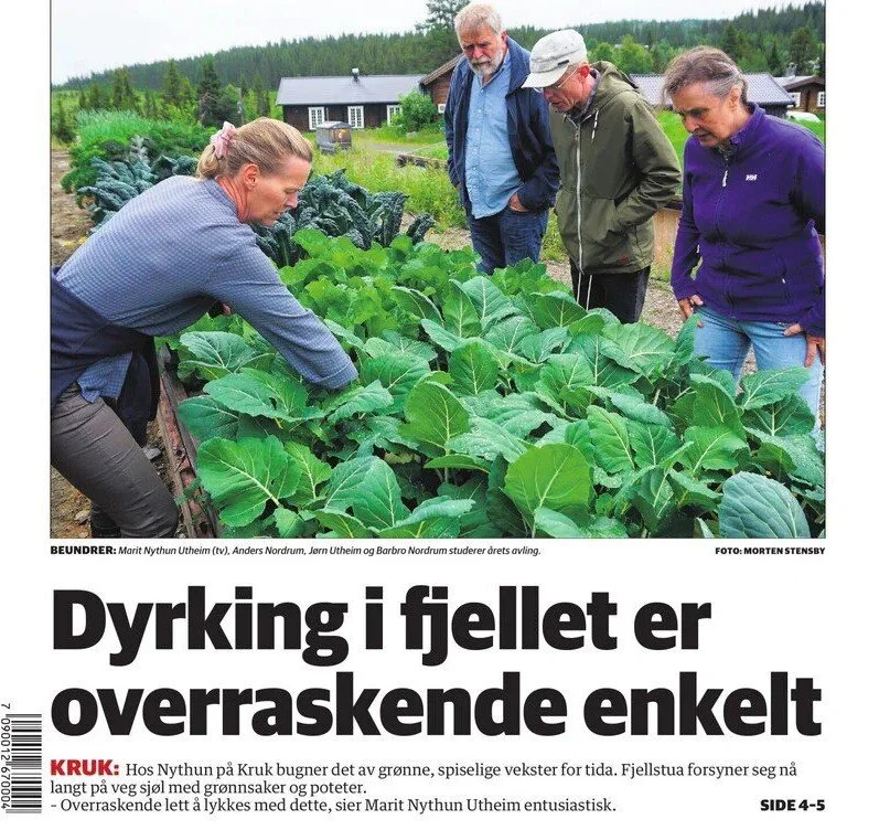 Kurs om dyrking av poteter grønnsaker i fjellet 22 august