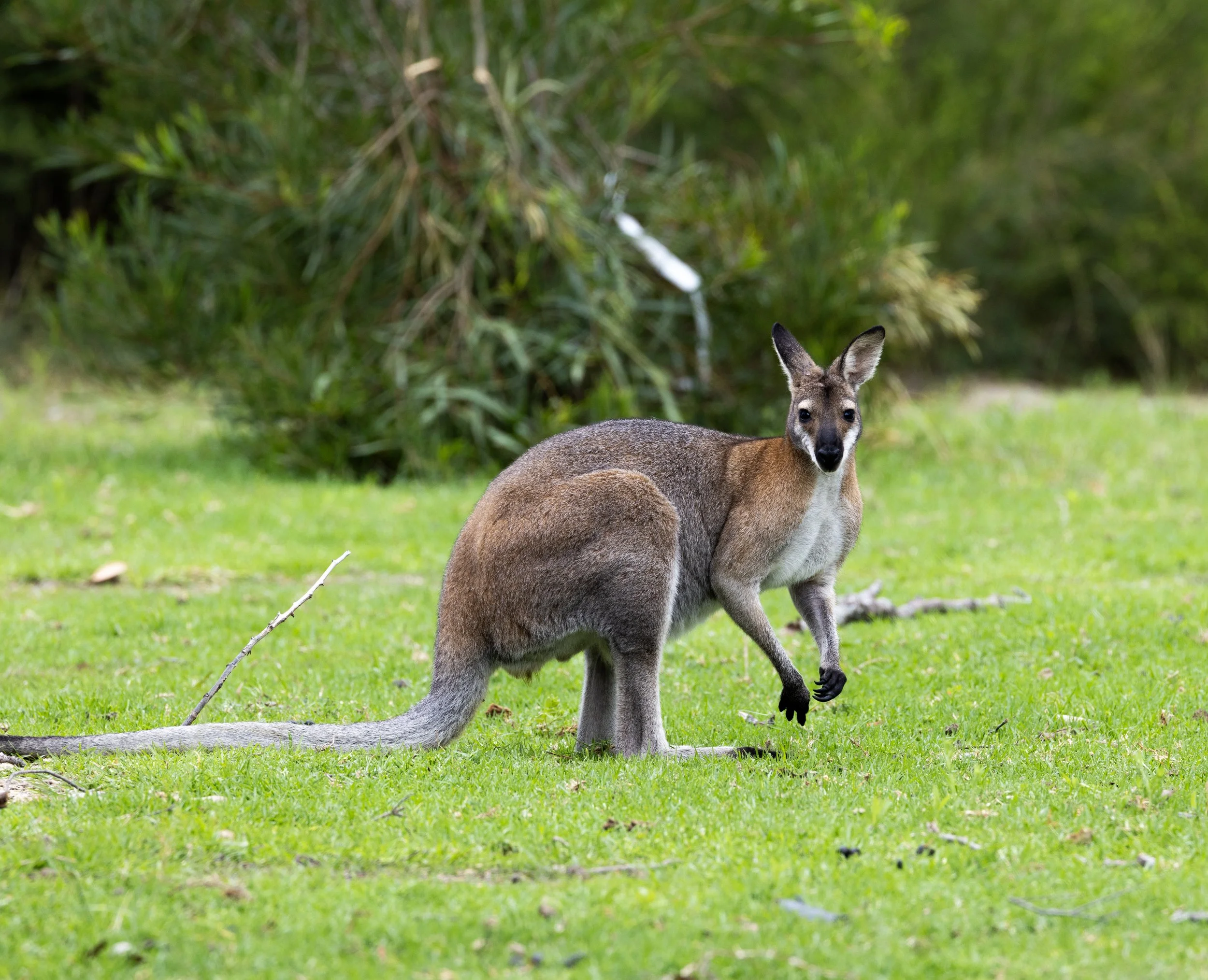 Wonderful Wildlife and Positive People