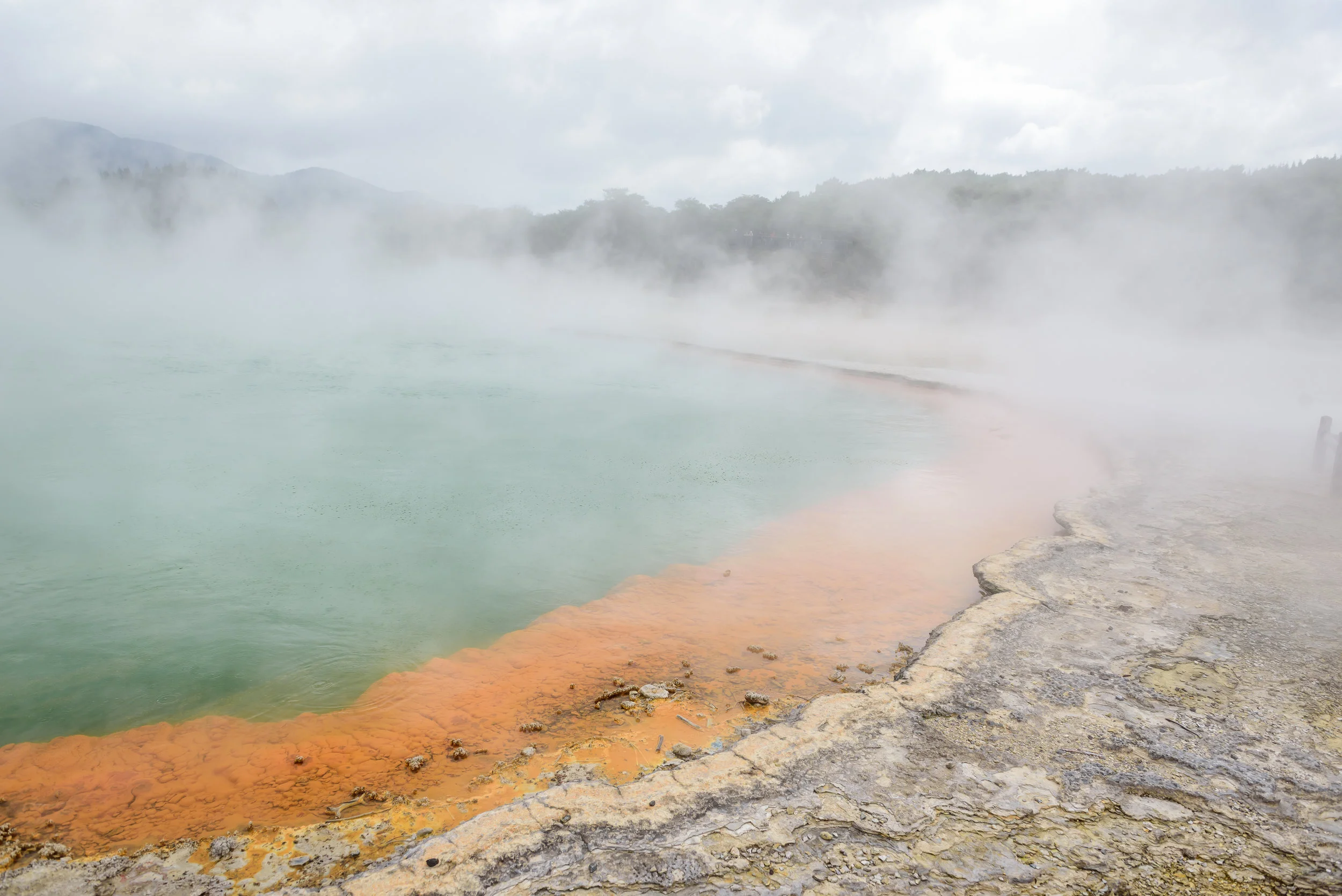 NZ-28.jpg