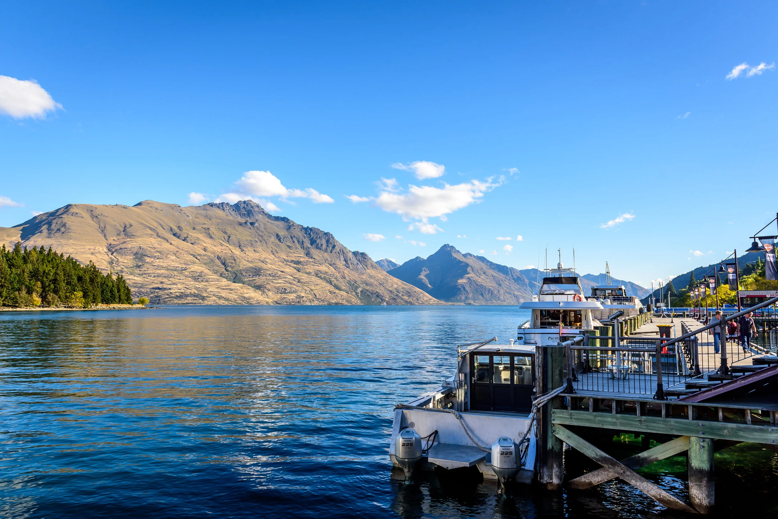 NZ-75.jpg