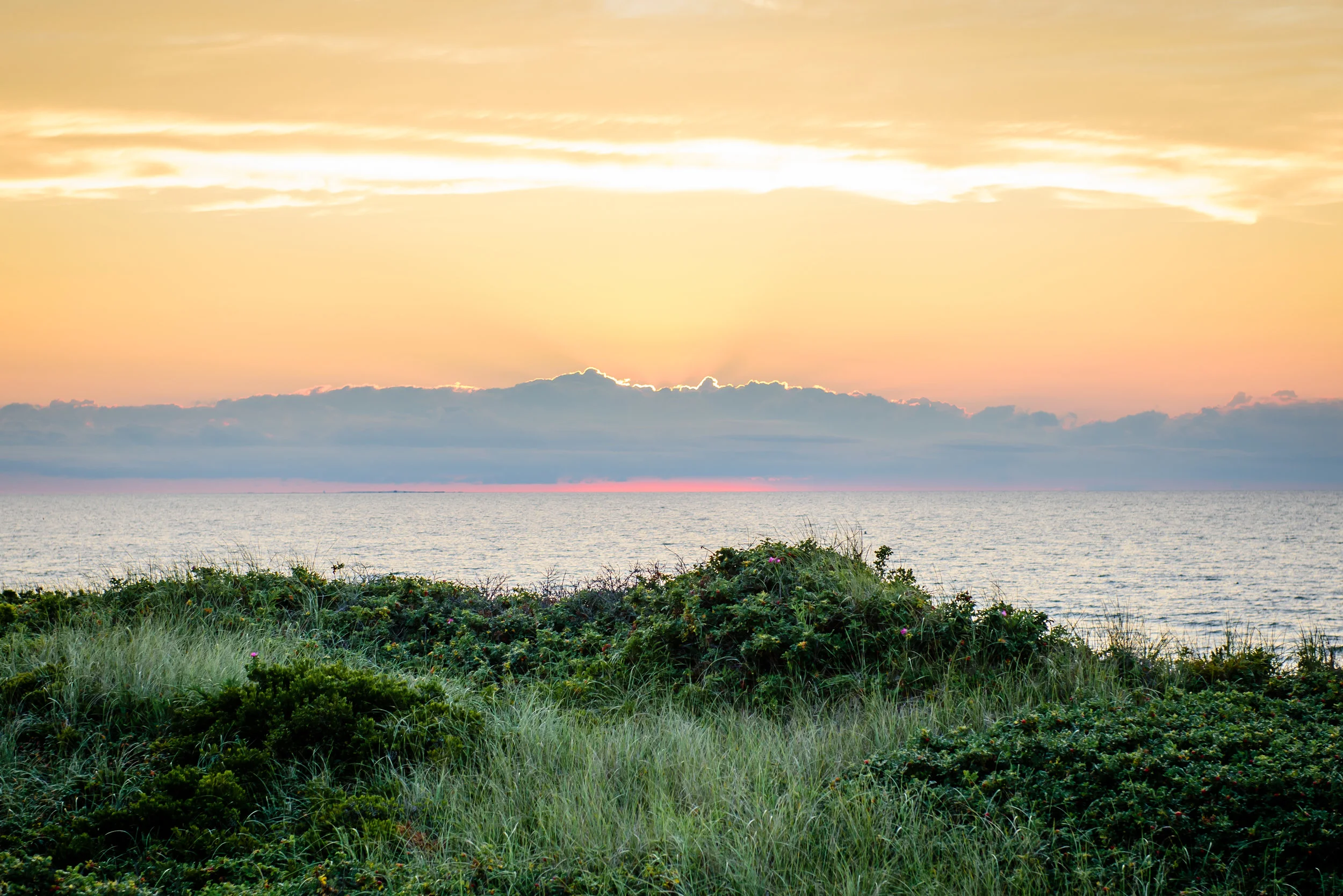 Nantucket8.8-15.jpg