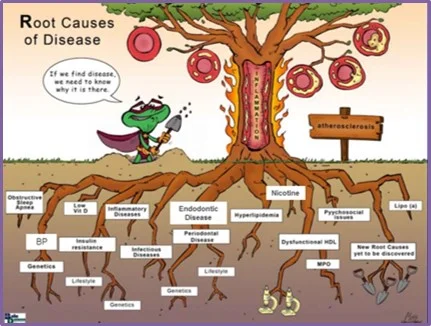 Root Causes.jpg