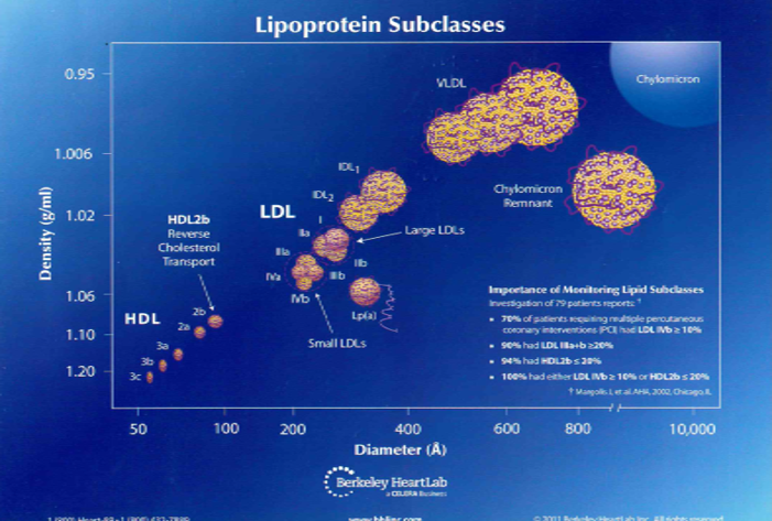 Lipoprotein subclasses.png