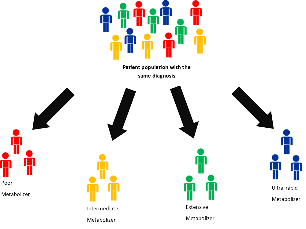 pharmacogenetics metabolizers.png
