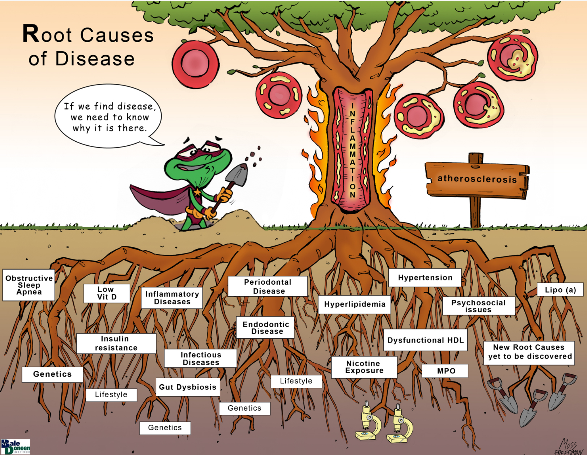 Root Causes of Inflammation driven Arterial disease