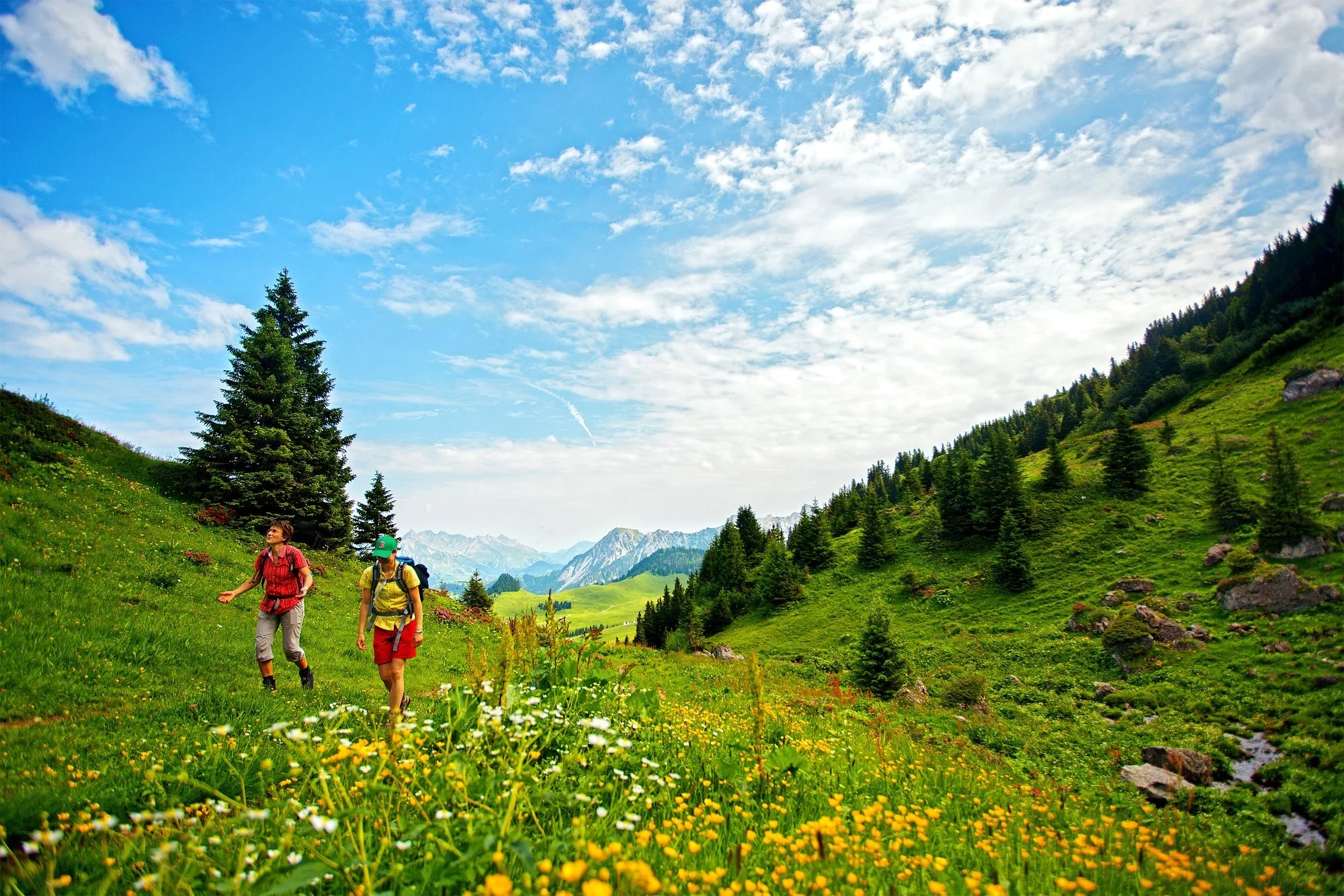 auf-dem-weg-vom-col-des-mosses-zum-pic-chaussy.jpg