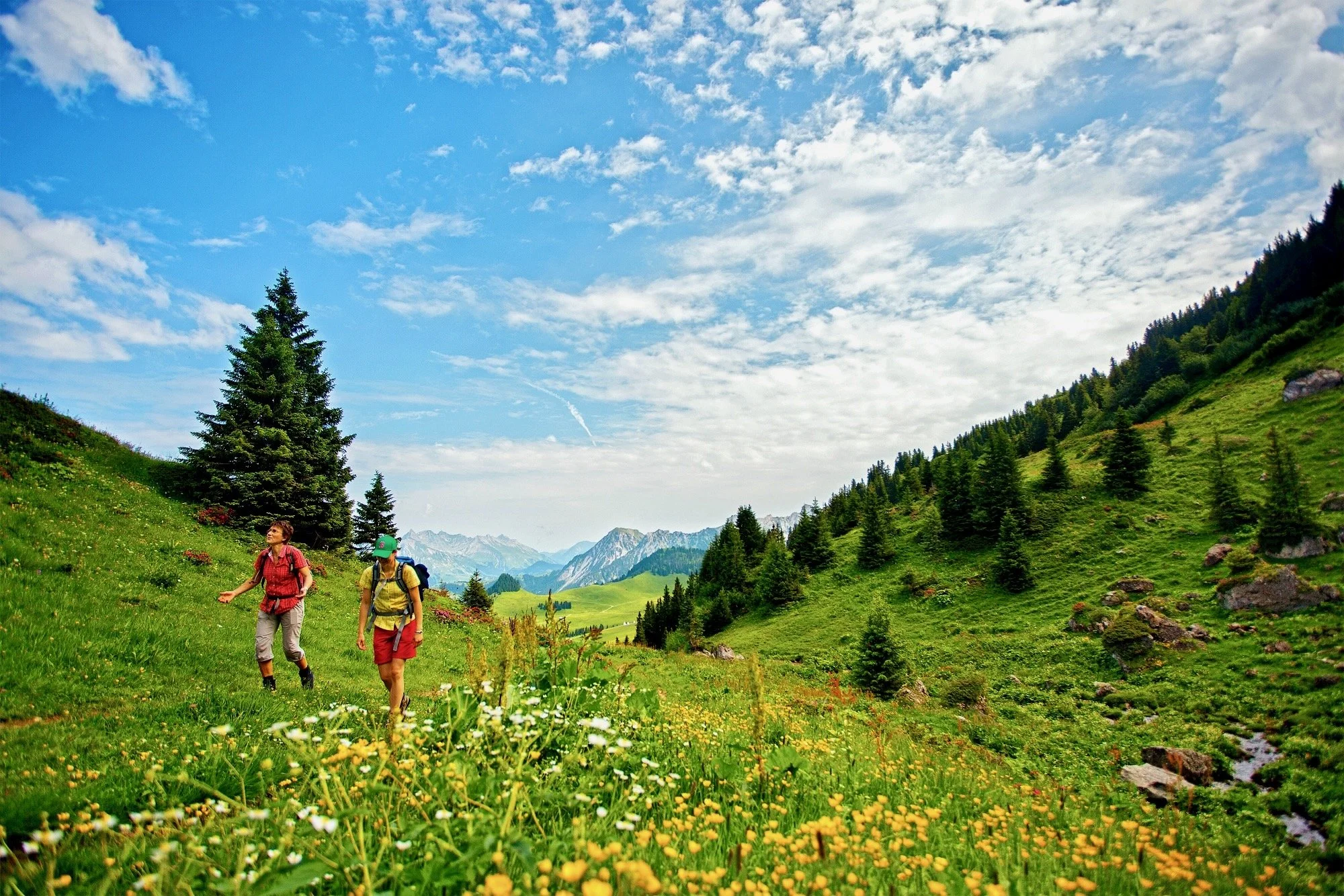 auf-dem-weg-vom-col-des-mosses-zum-pic-chaussy.jpeg