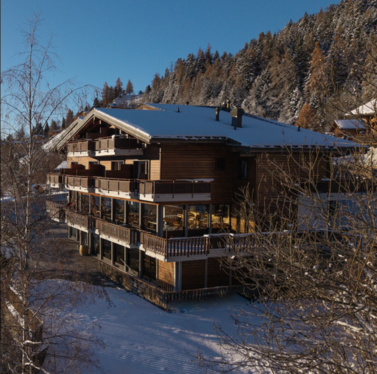 Capture d’écran 2025-12-07 à 14.46.45.png