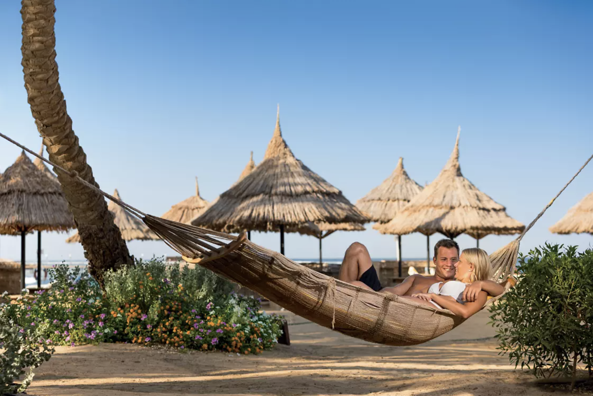 Capture d’écran 2025-12-10 à 10.44.36.png