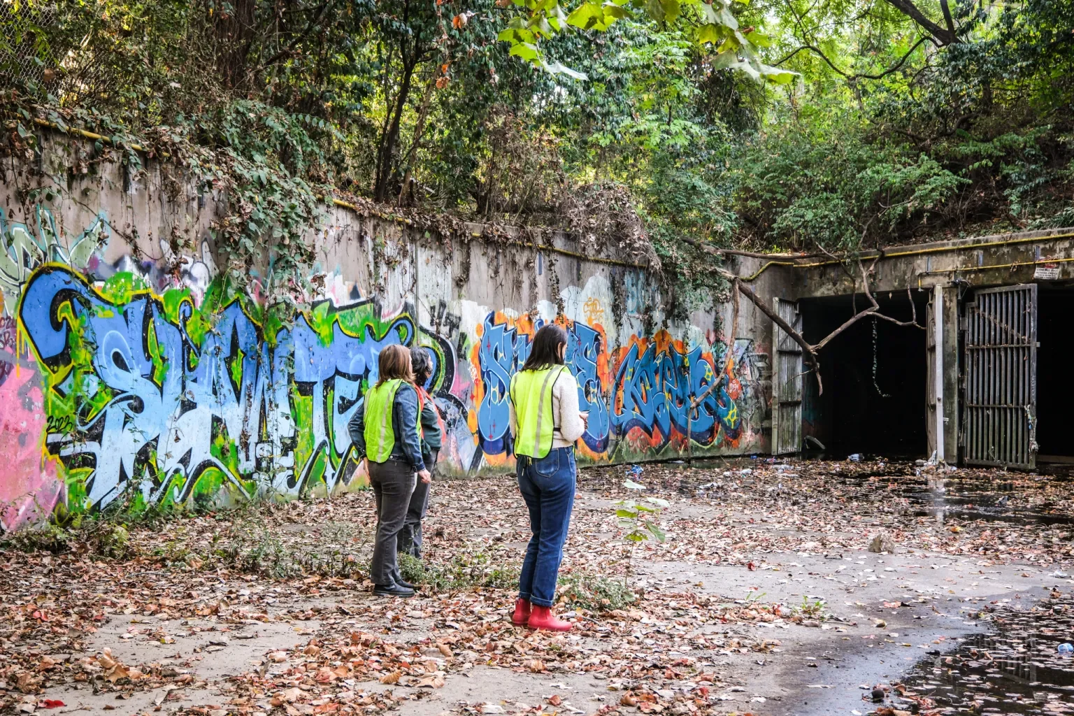 When the Creeks Rise