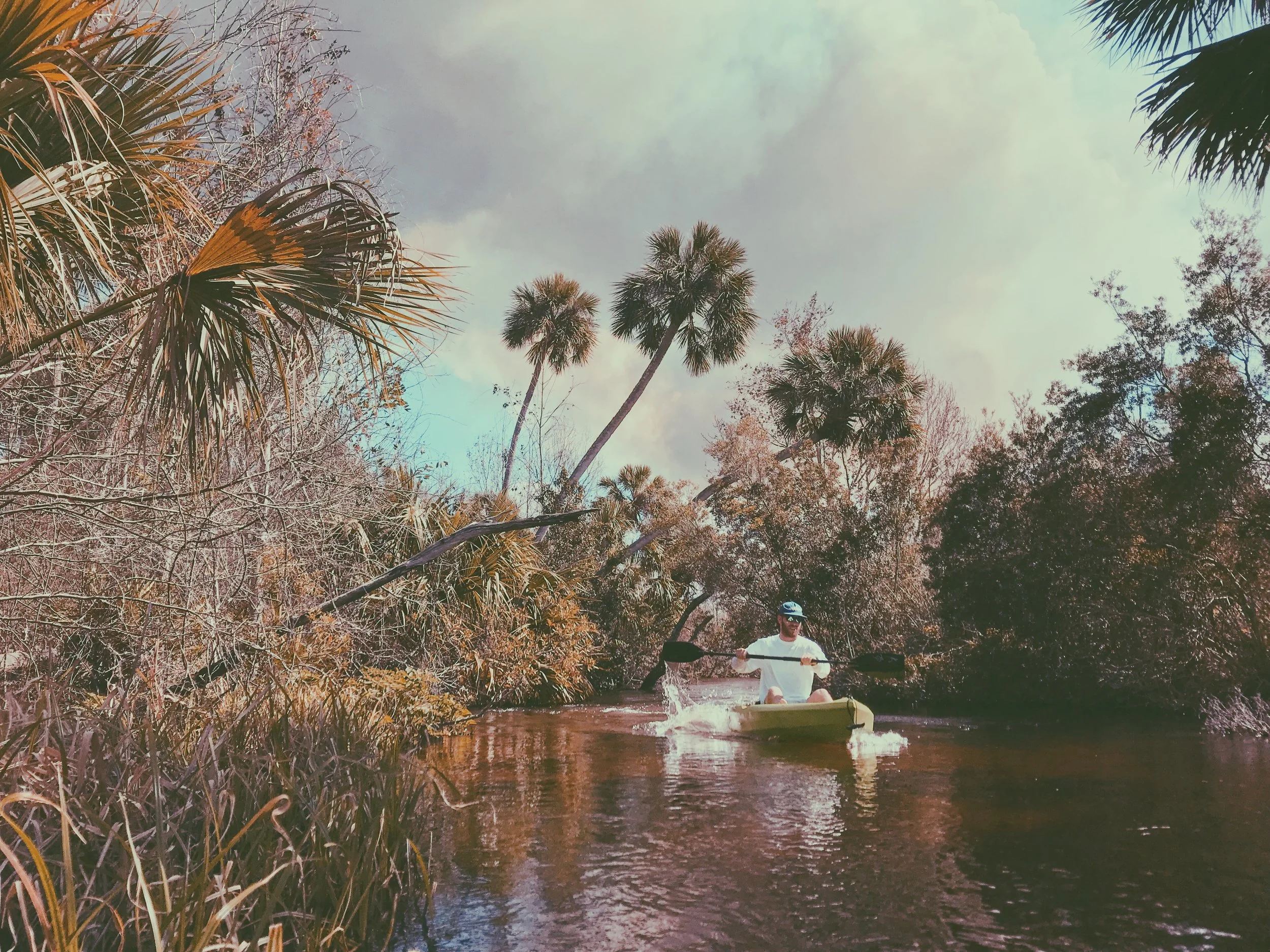 Return to Juniper Springs, FL