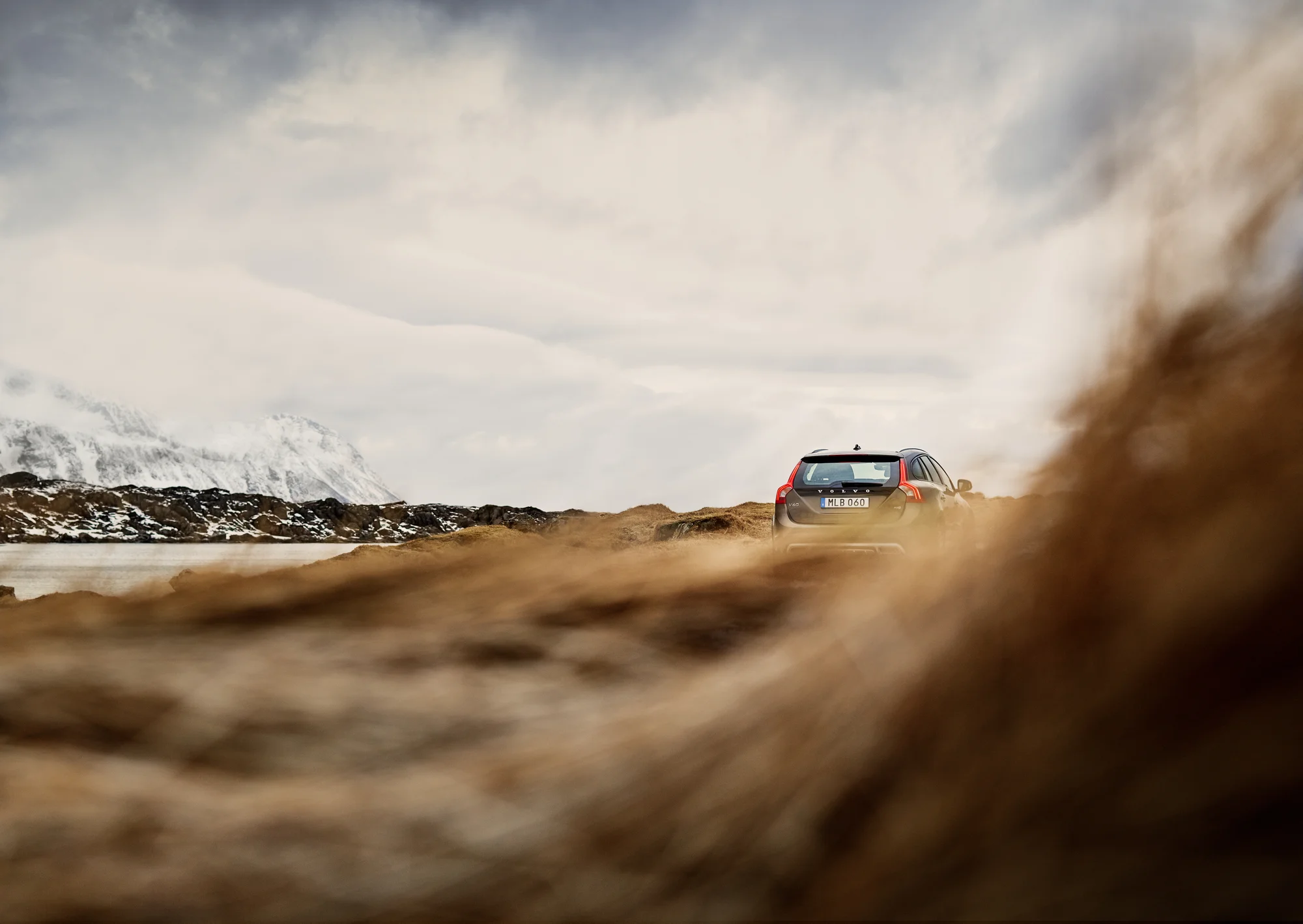 VO_03606_Winter2016_36.jpg