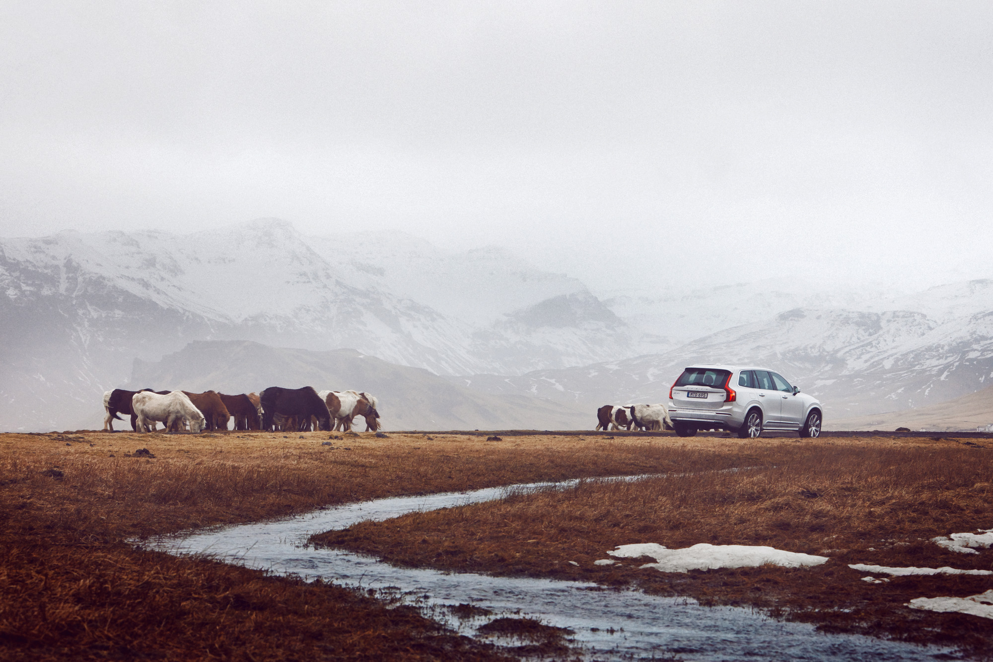  Volvo XC90 Iceland 