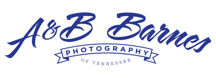 AB Barnes Photography