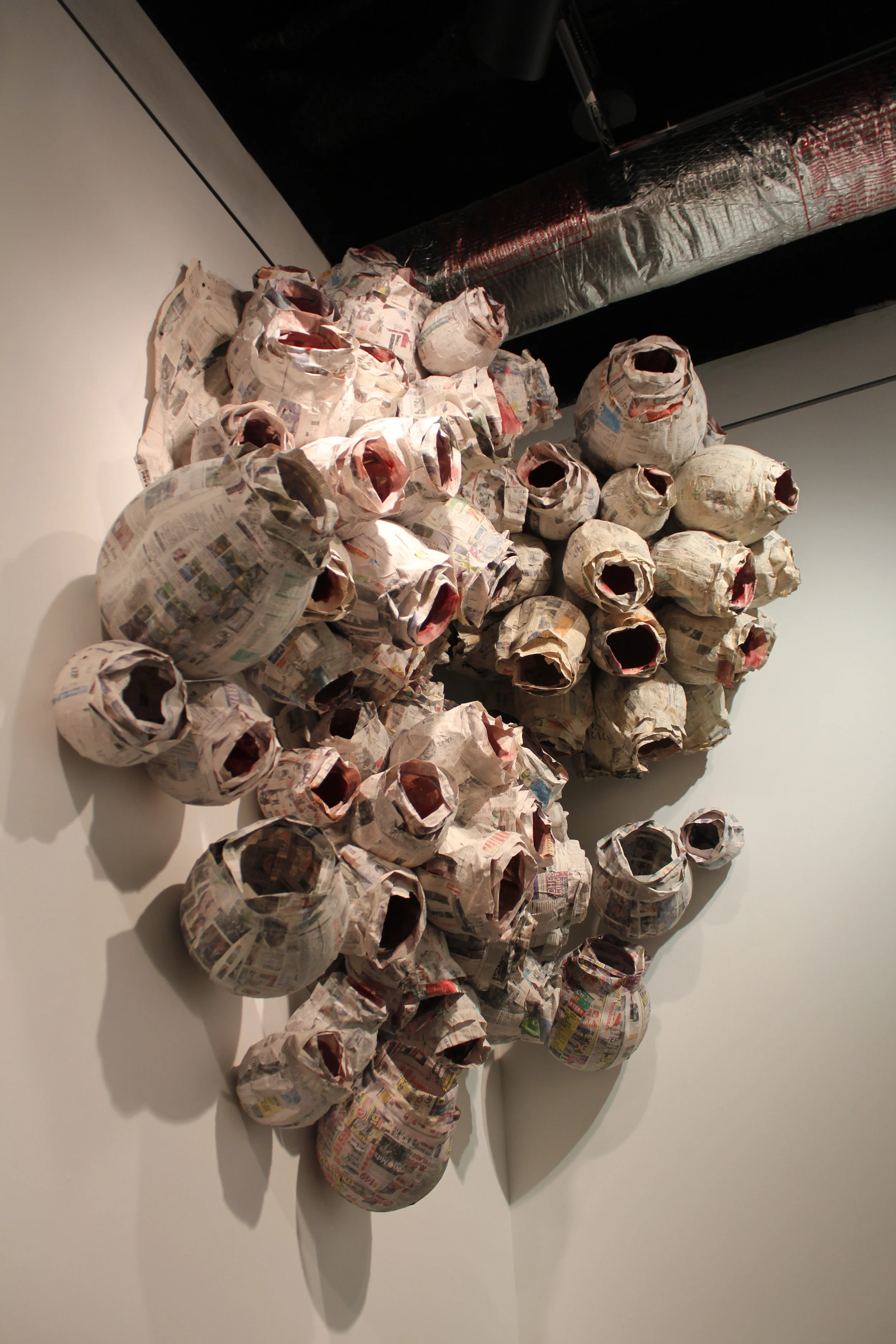 Avis nidum (side view)