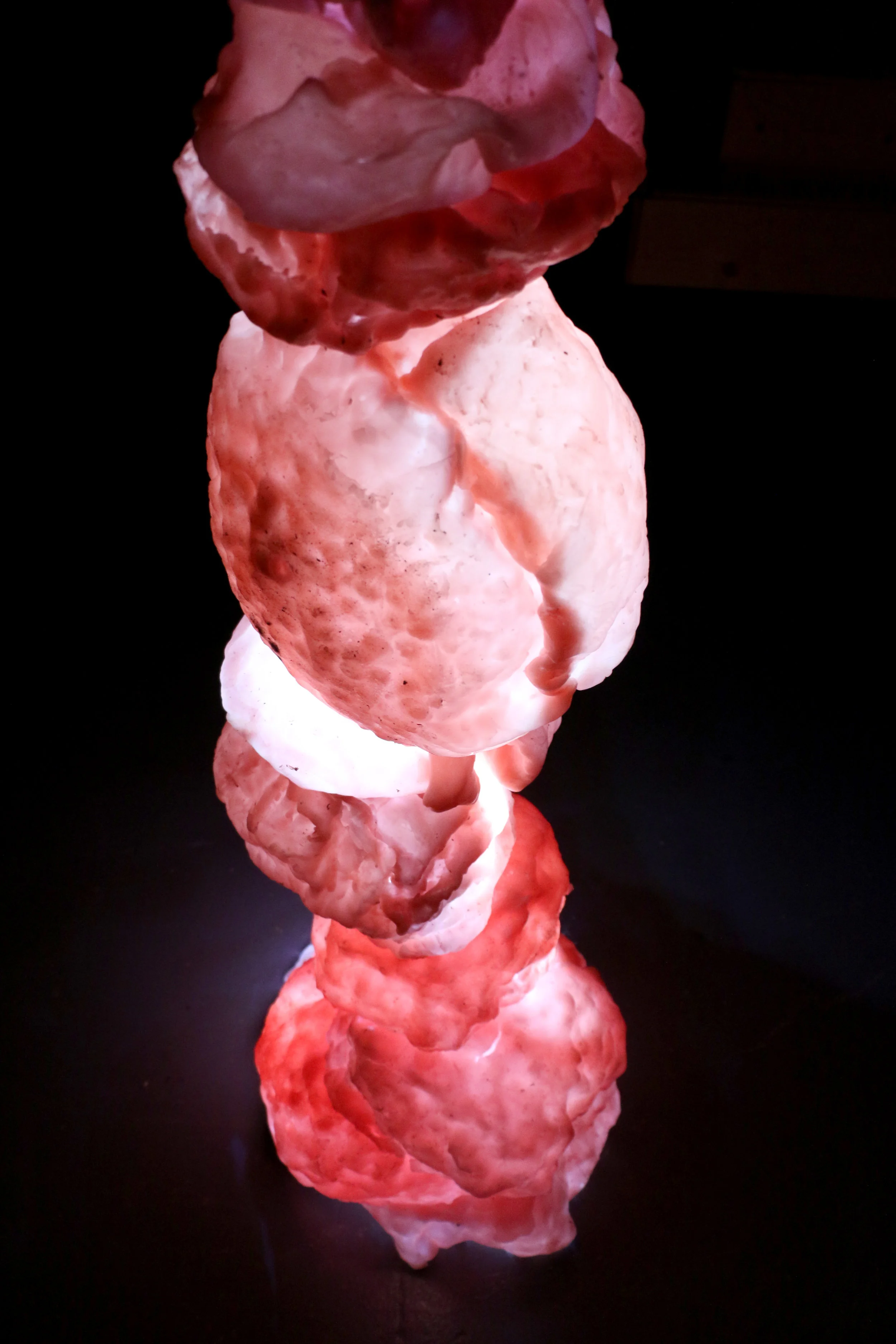 Corpulent II (detail)