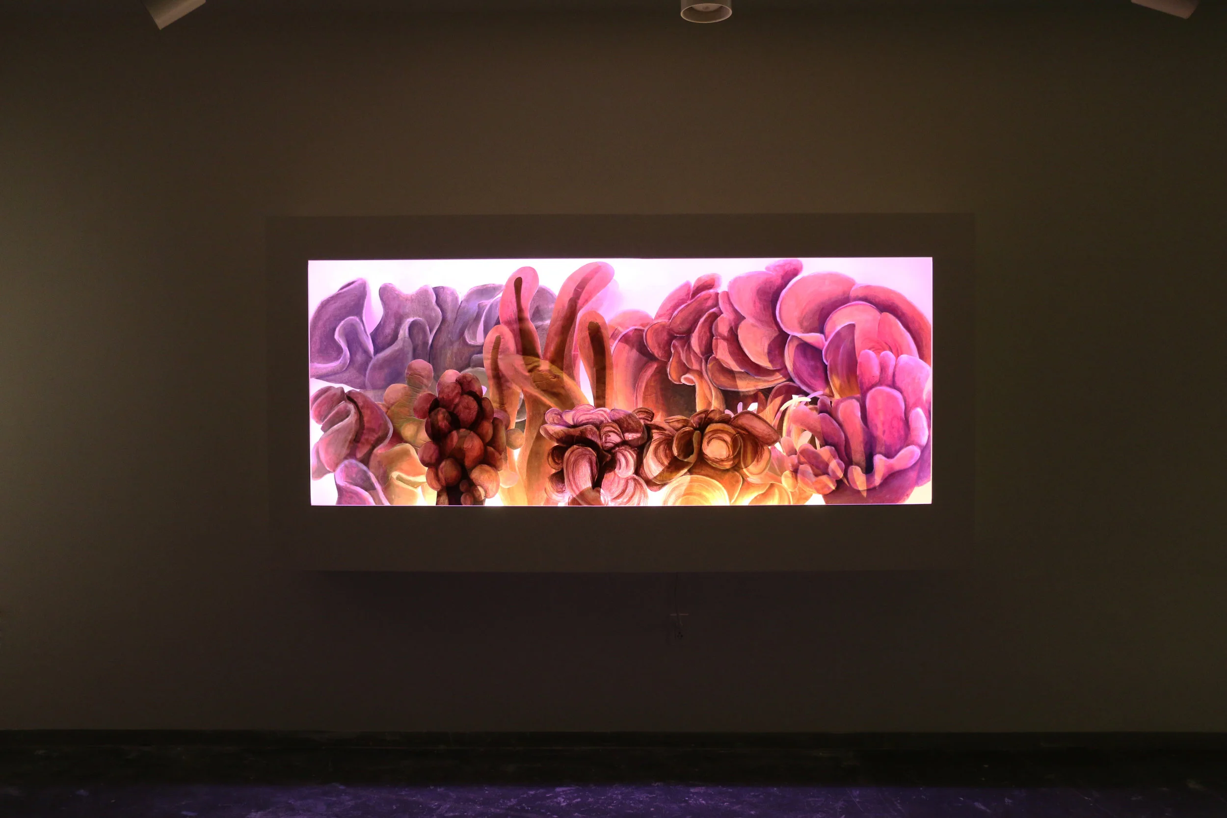 Shedd Aquarium, Tank 137, Version II