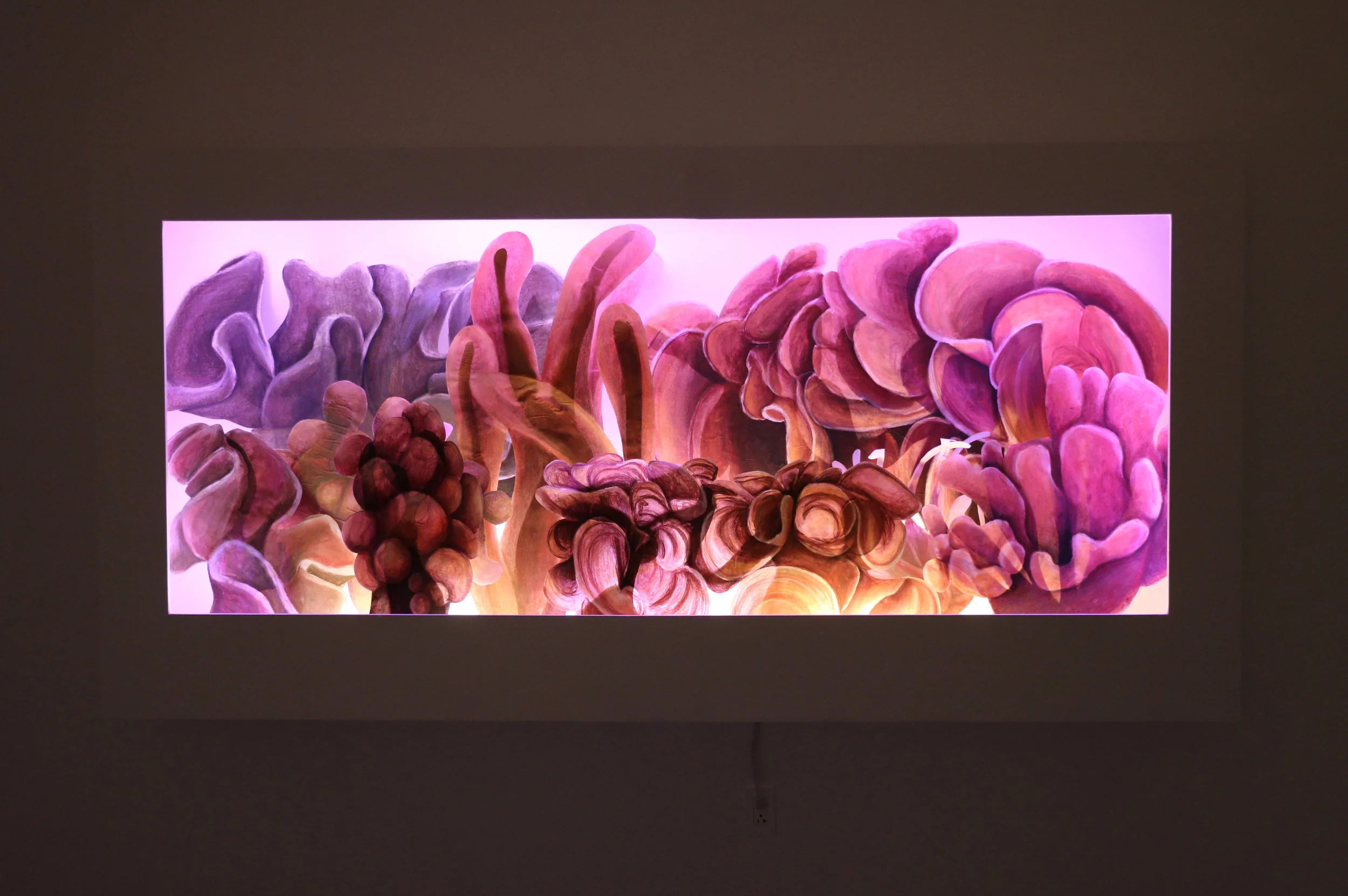 Shedd Aquarium, Tank 137, Version II 