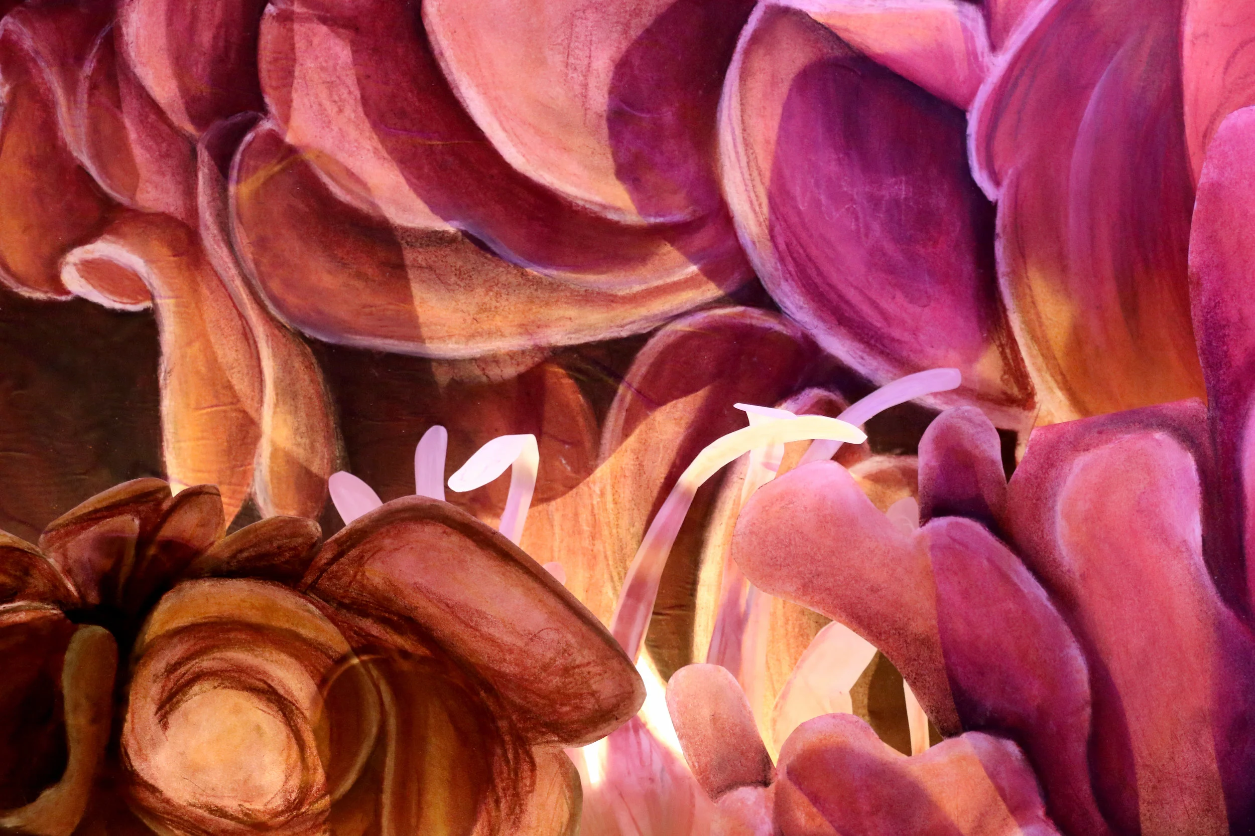 Shedd Aquarium, Tank 137, Version II (Detail)