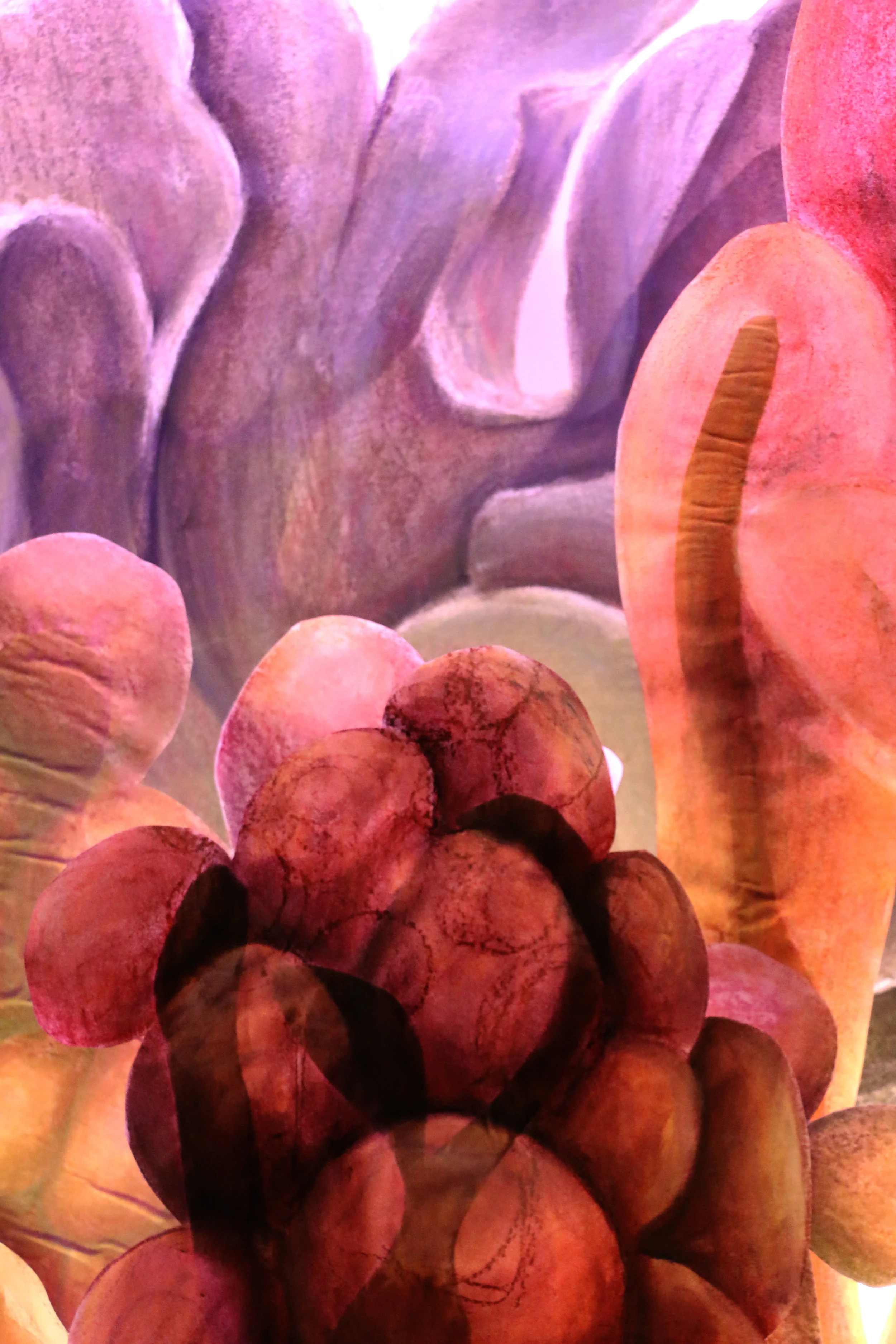 Shedd Aquarium, Tank 137, Version II (Detail)